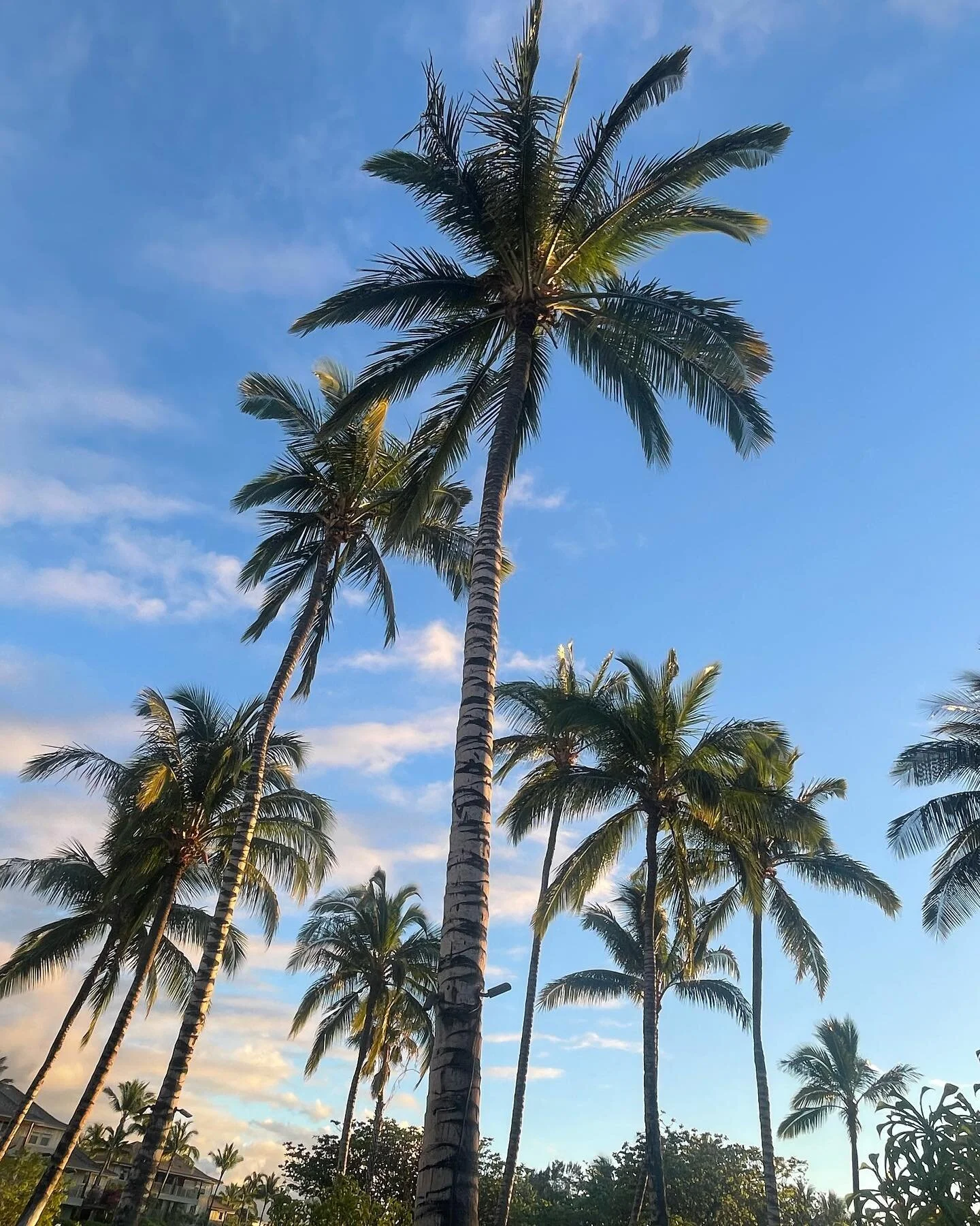 My new routine: Journey. Explore. Discover. Repeat.

&bull;
&bull;
&bull;
&bull;

#travel #hawaii #photography