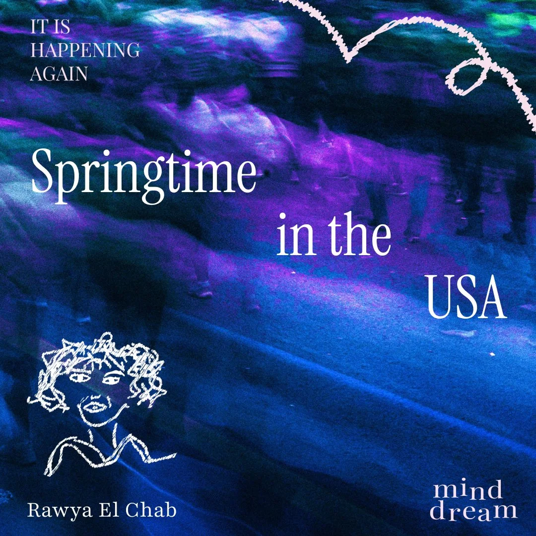 Out now! Springtime in the USA by Rawya El Chab