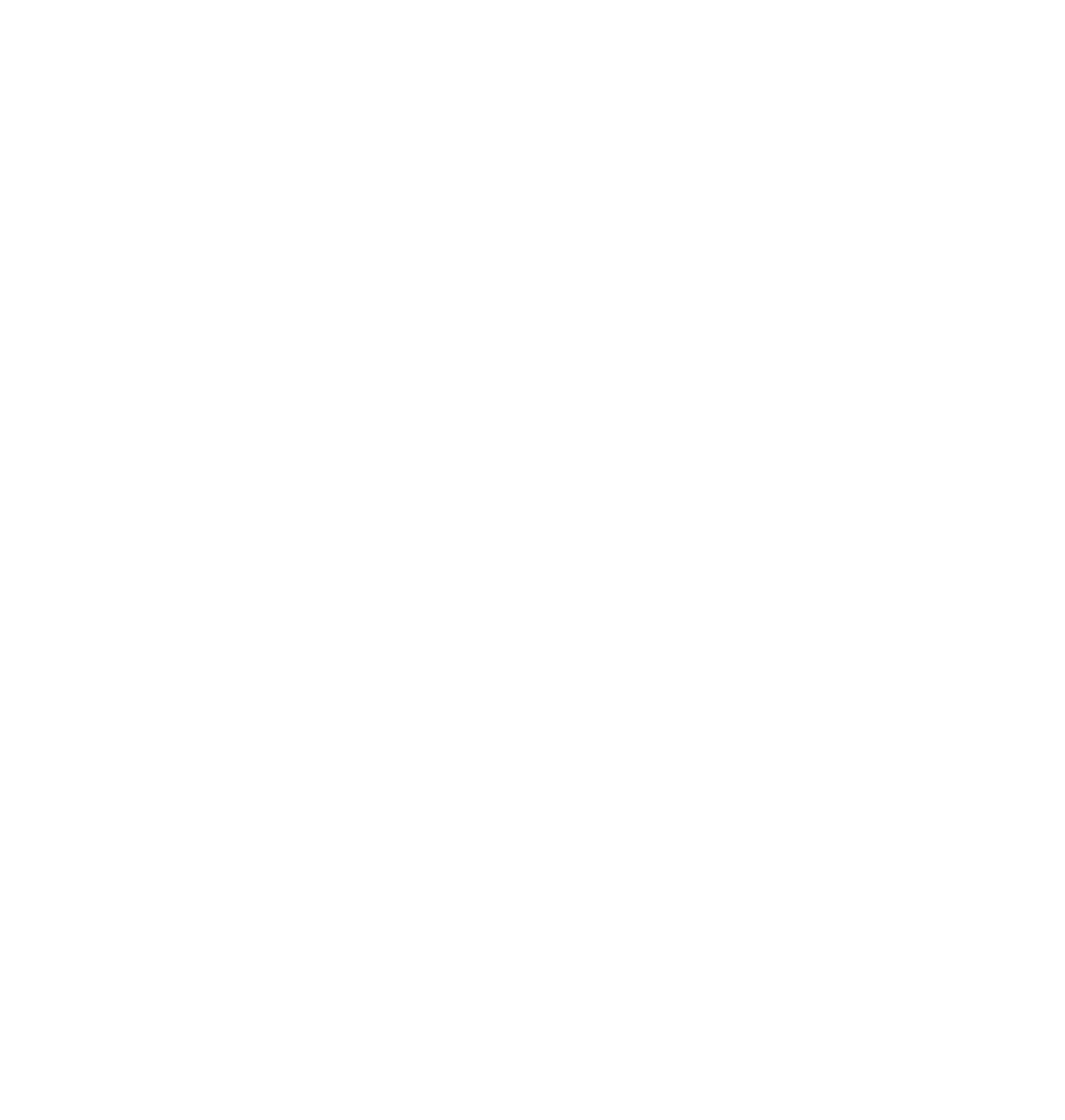A black and white outline drawing of a cowboy hat with the word "disguise" on the front.