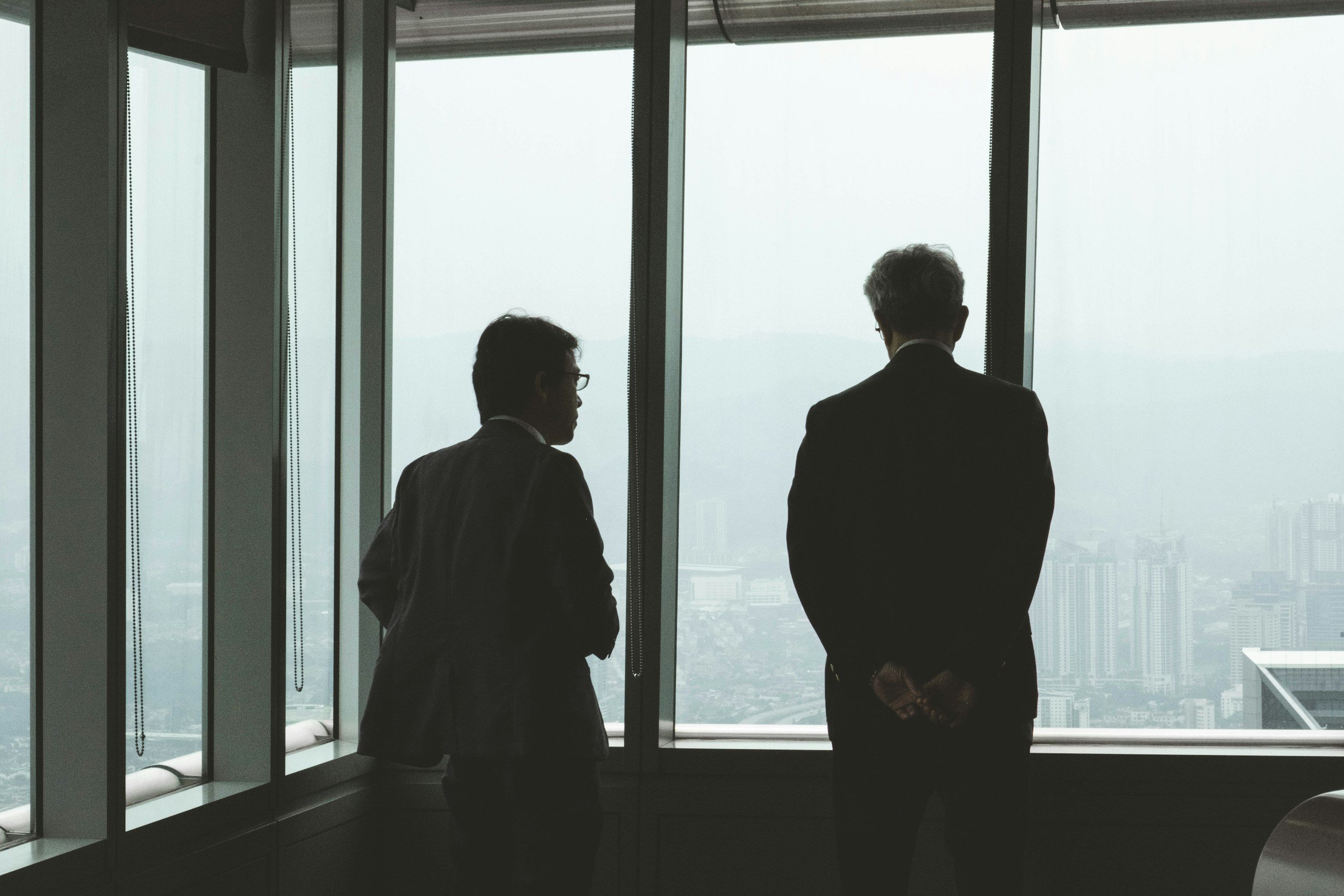 Minority Shareholder Rights &amp; Oppression Claims (302A)