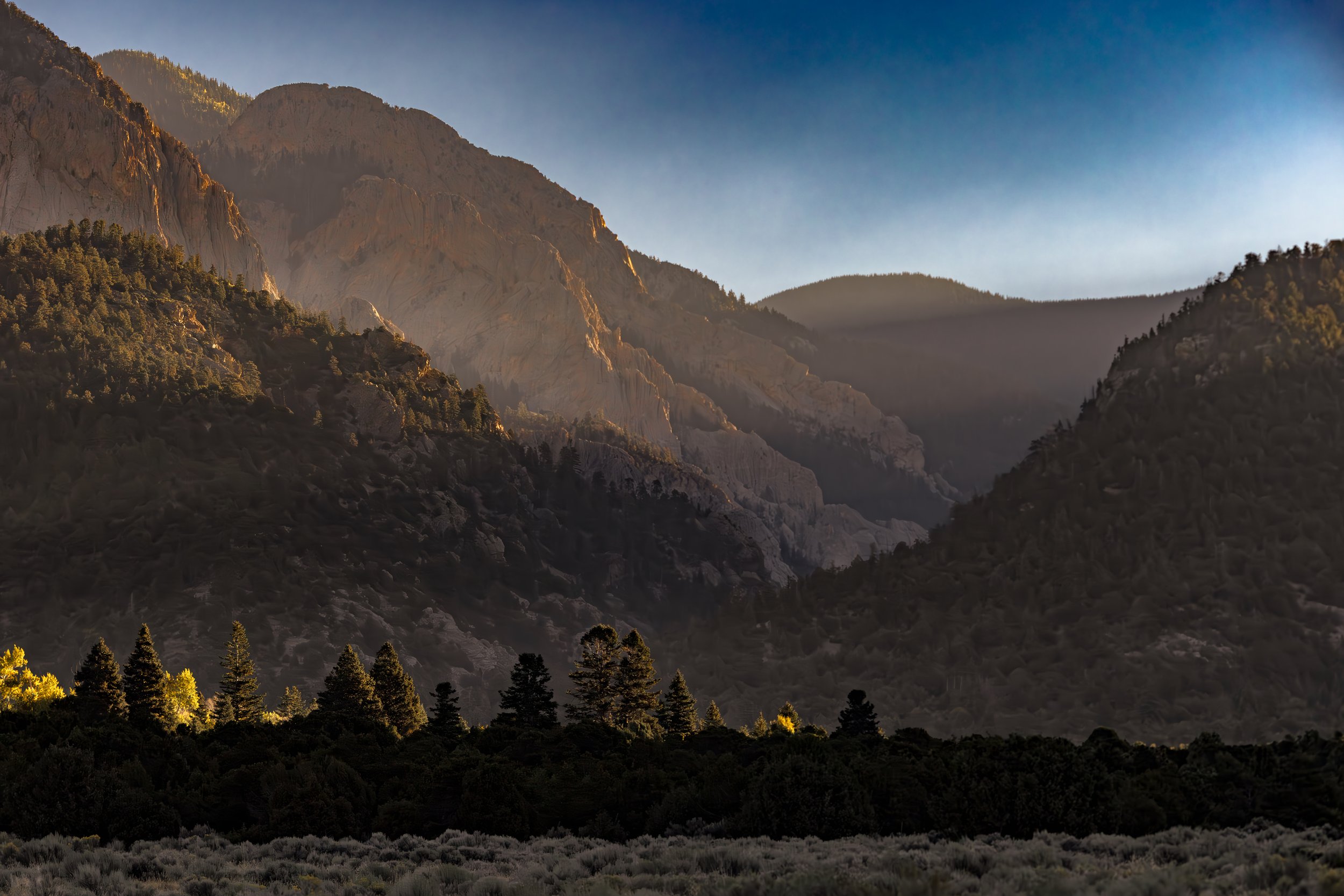 BL6A8834-Enhanced-NR.jpg