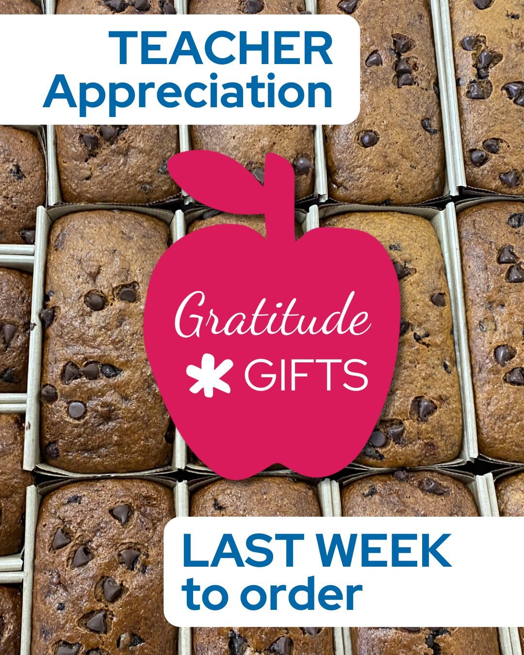 When you order Gratitude Gifts, your donation supports HEF classroom grants PLUS the teachers and staff you select receive a card with a message from you, a @breadsmith_twin_cities  or @holdthewheatgf (GF/V) mini loaf, and a $15 Craft &amp; Crew rest
