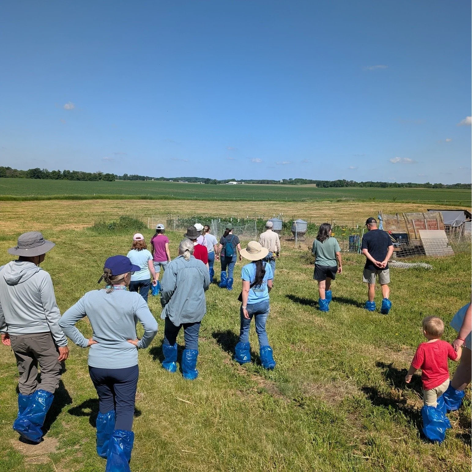 What a fun time out on the farm today! As part of our Great Gatherings fundraiser series, the good folks at @tcfarmmn  hosted an event with @auntieanniesfields, one of their egg suppliers. We put on shoe covers to protect against contamination (think