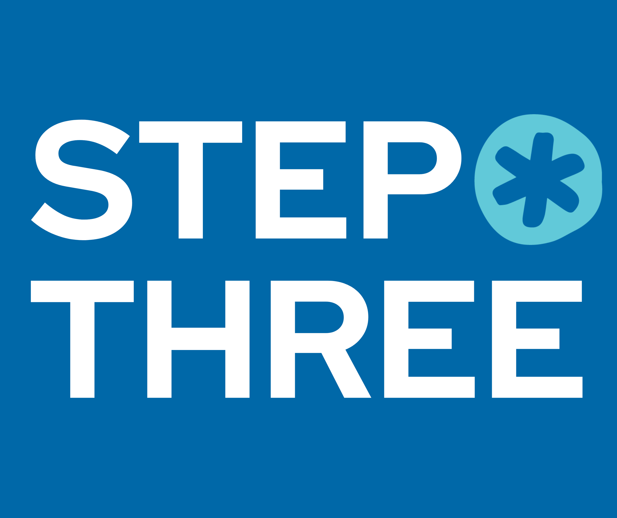 STEPS Spark Grants3.png