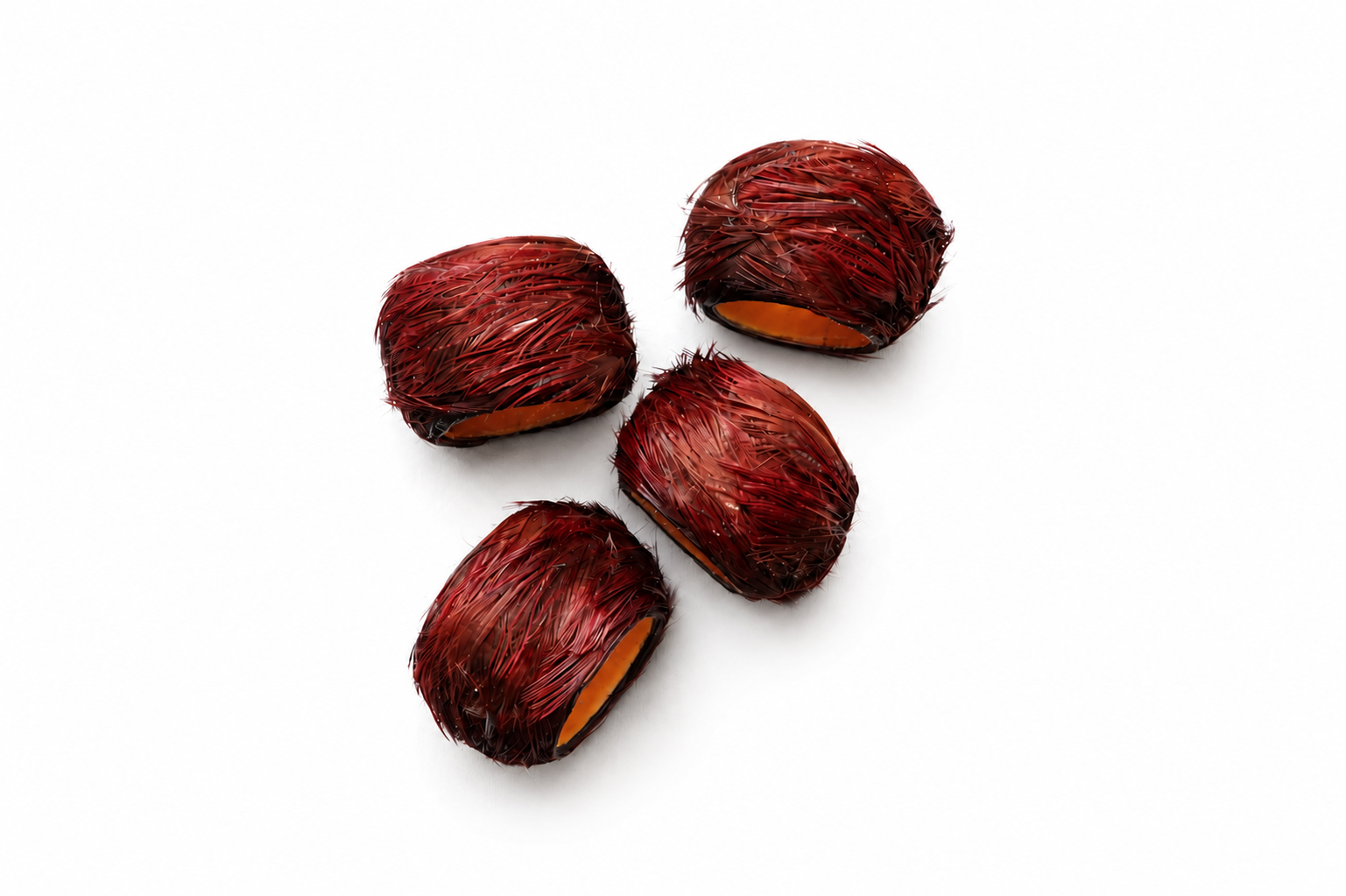 Golden Pheasant Feathered Napkin Ring Set