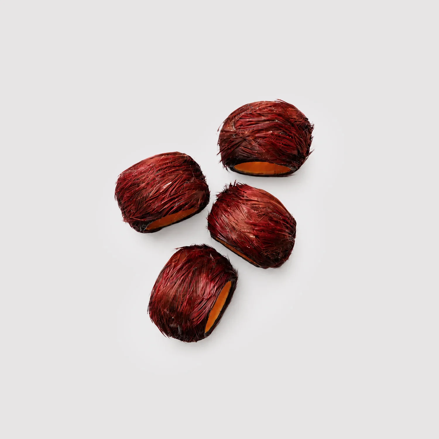 Golden Pheasant Feathered Napkin Ring Set