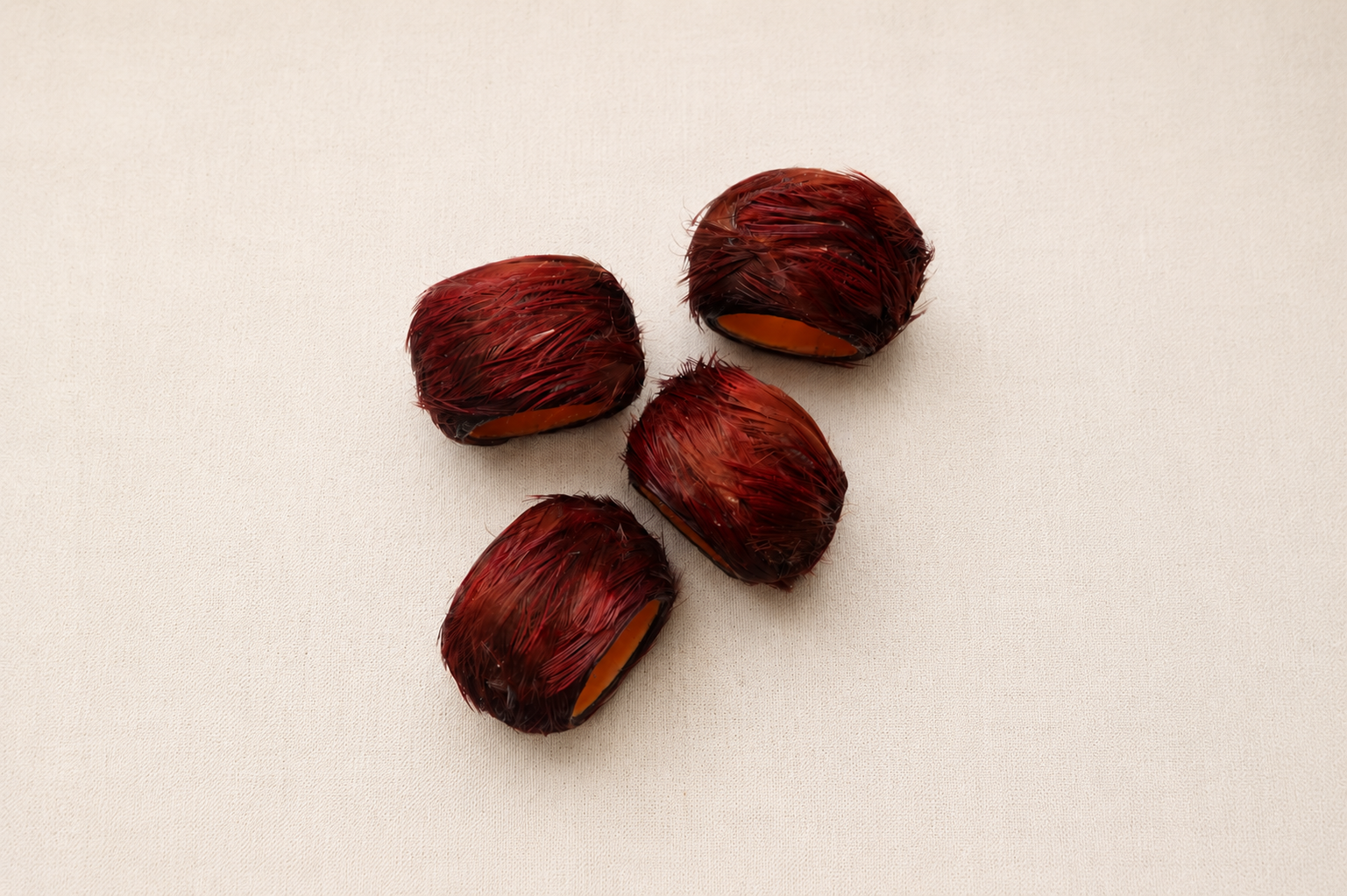 Feathered Napkin Rings (set of 4)