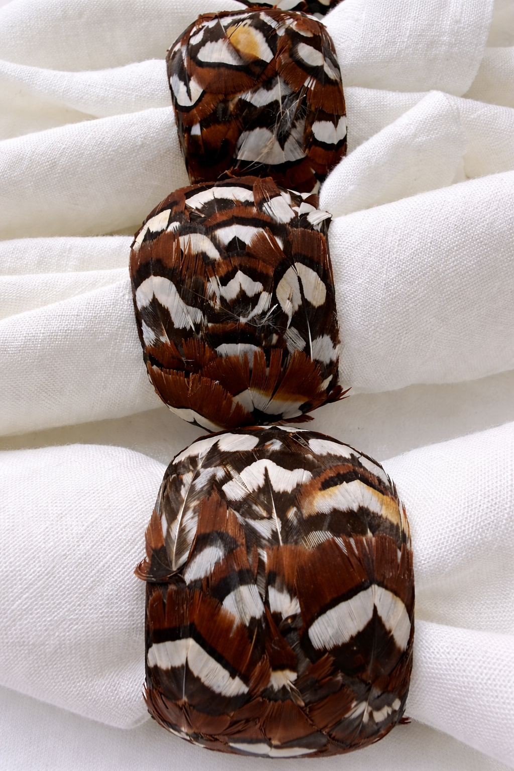 Elegant feathered napkin rings close-up.png