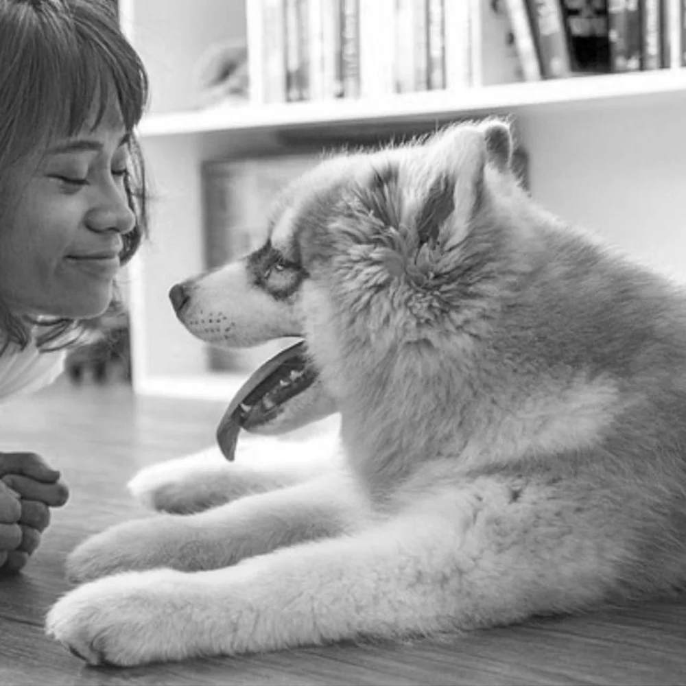 9 Ways To Tell Your Dogs You Love Them In Their Own Language