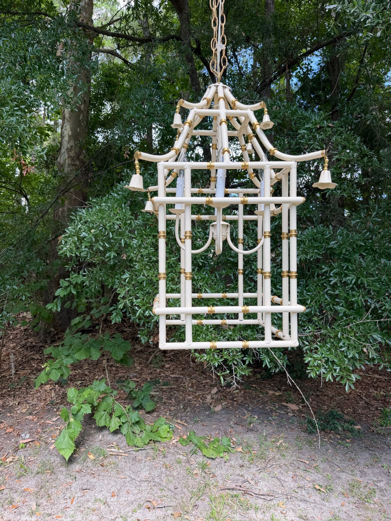 White Bamboo (2).JPG