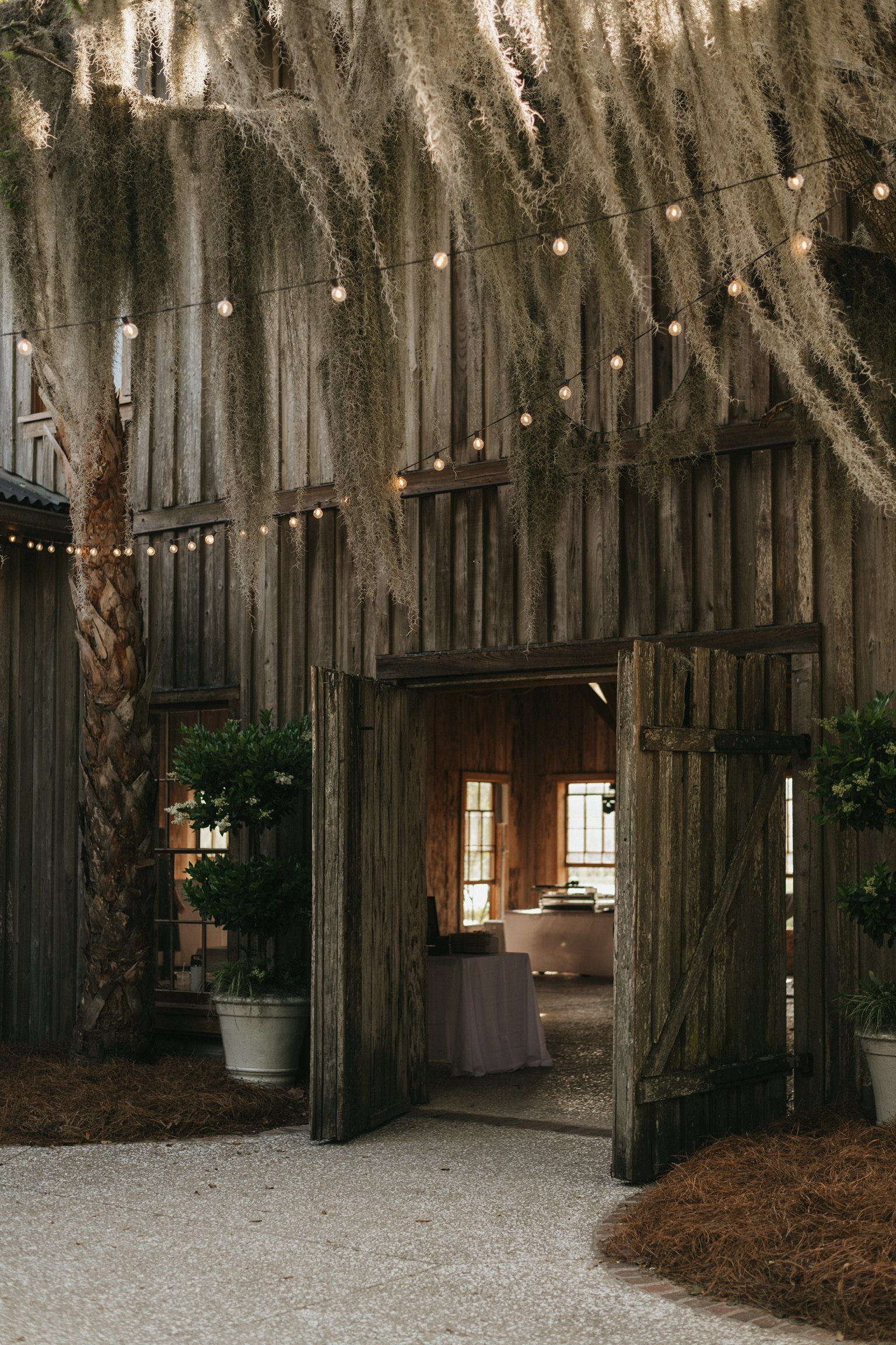 Boone-Hall-Spring-Wedding-Lauryn-Lucas-262.jpg