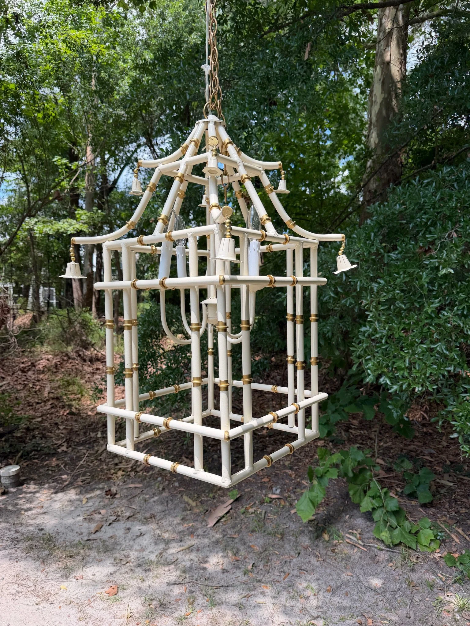 White Bamboo (8).JPG