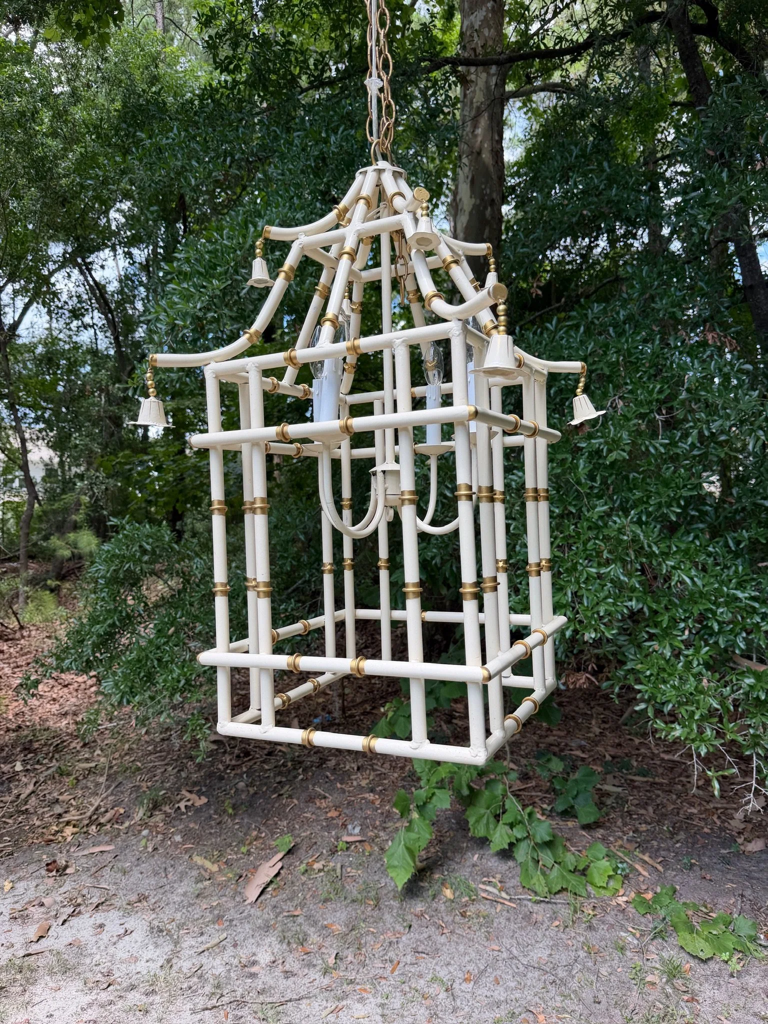 White Bamboo (5).JPG