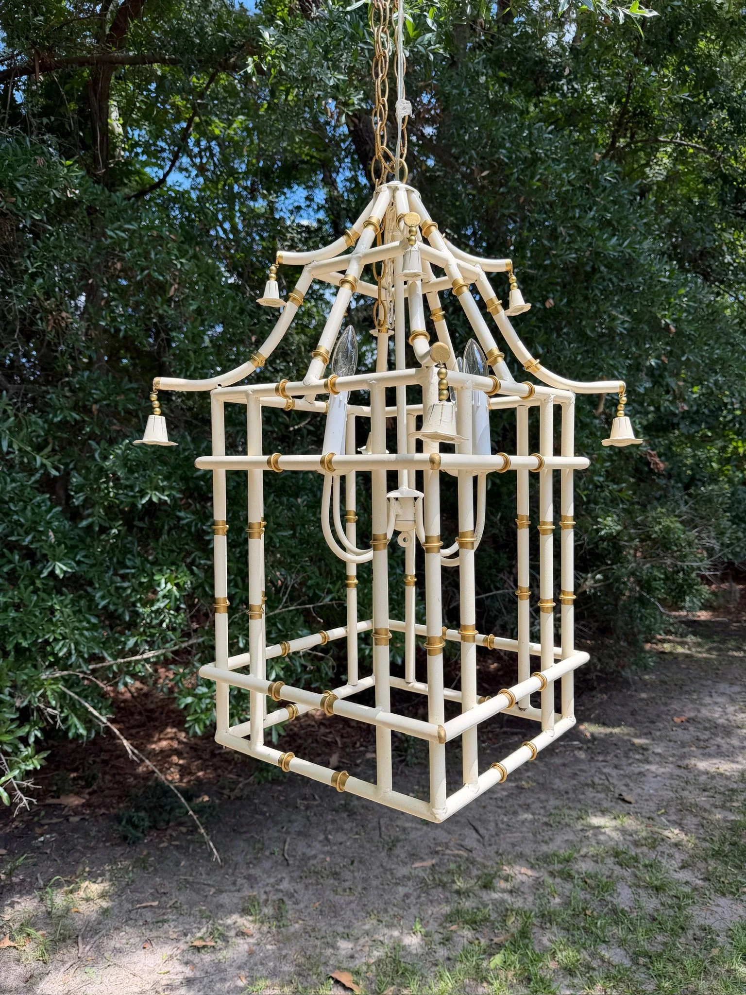 White Bamboo (9).JPG