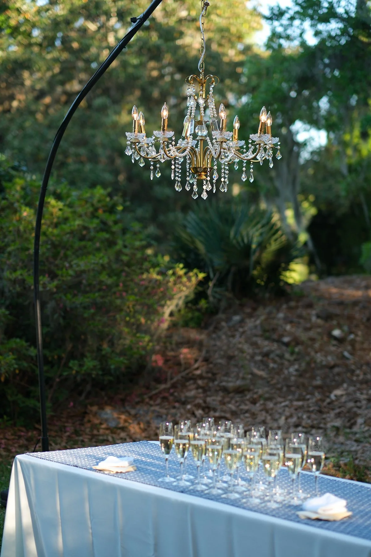 prioleau MiddletonPlaceHomeEvent_-360.jpg