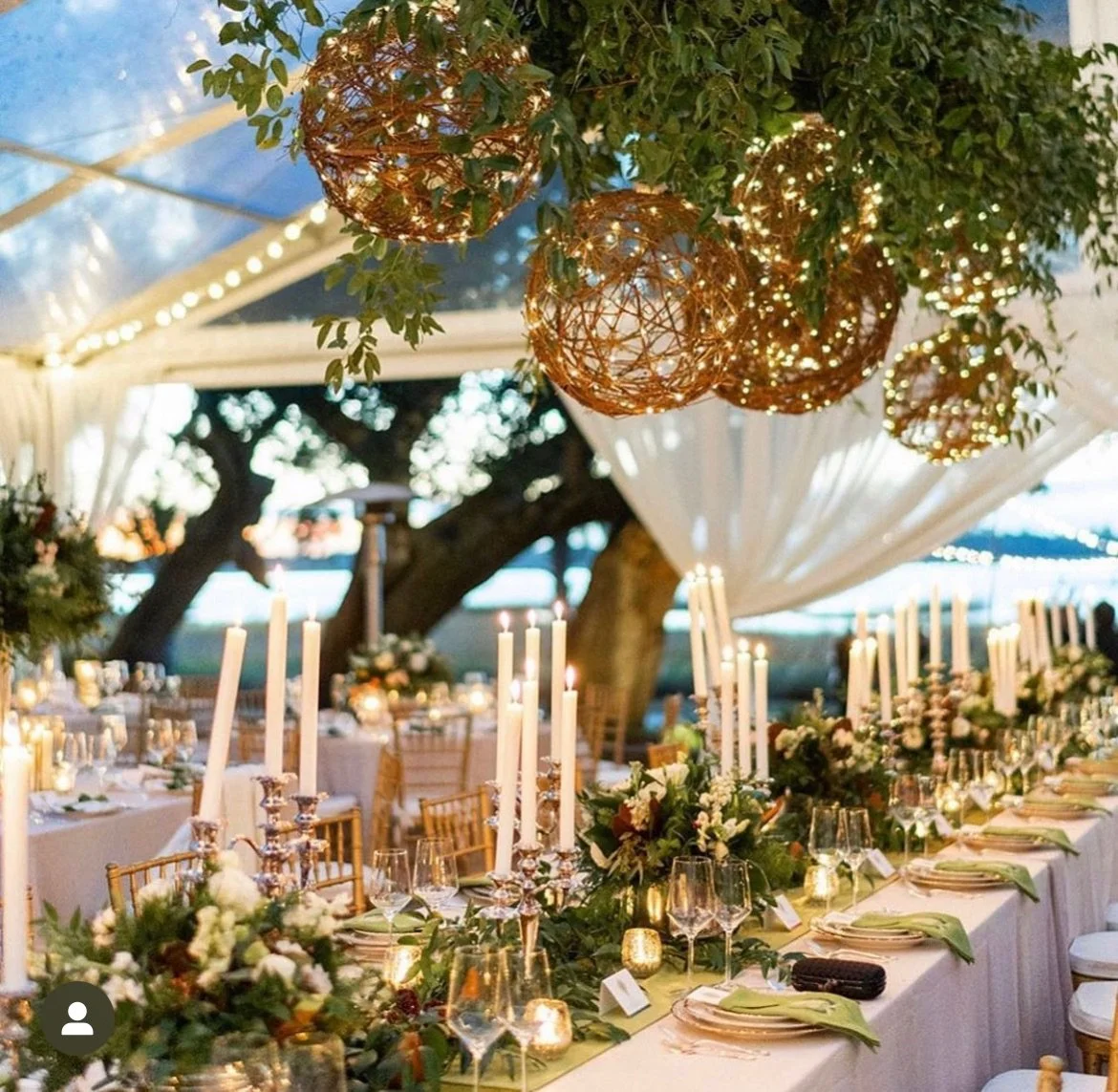 The Muscadine Ball