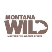Artsy Thursday: Montana WILD