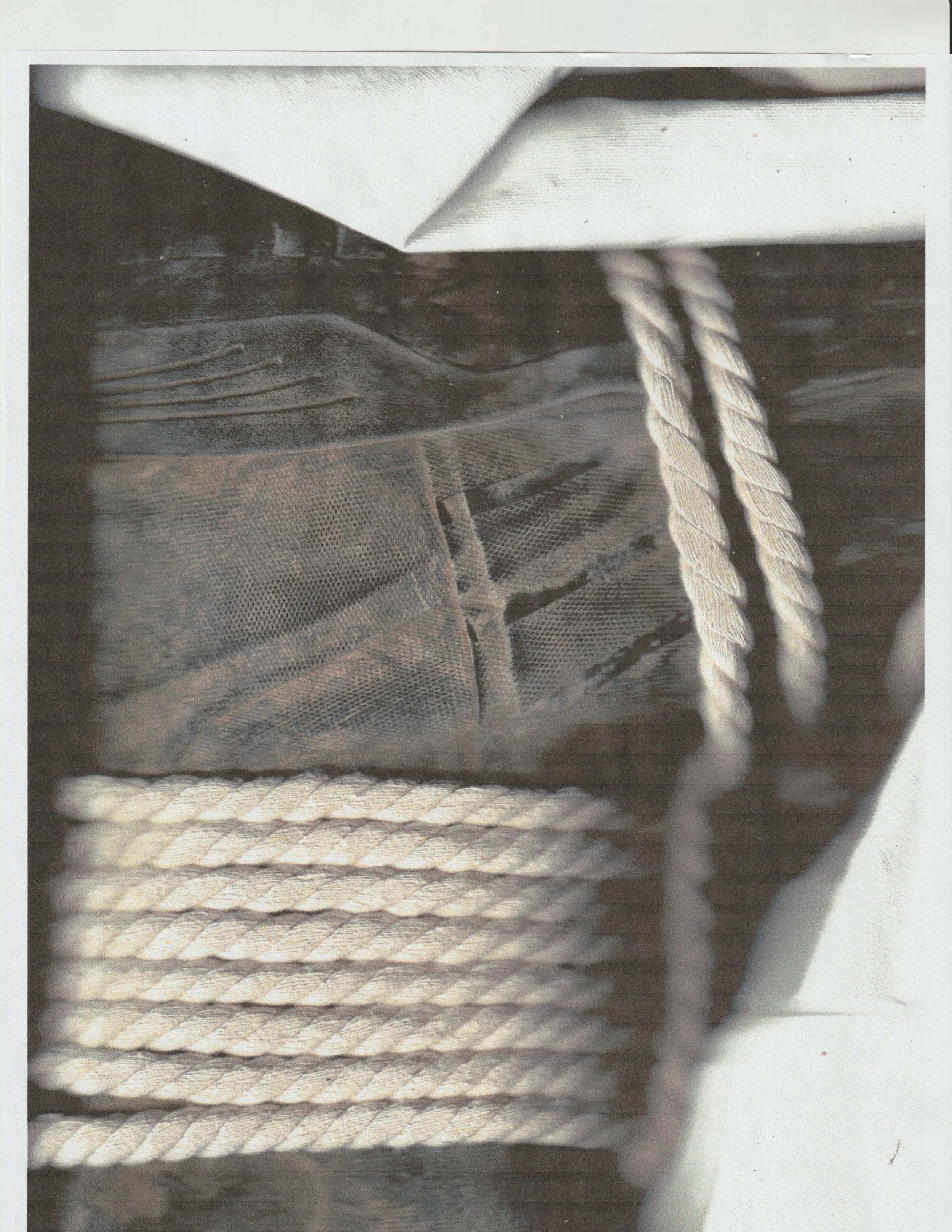 Close-up of a shopping bag containing a pair of sneakers, with rope handles visible. conor o'driscoll