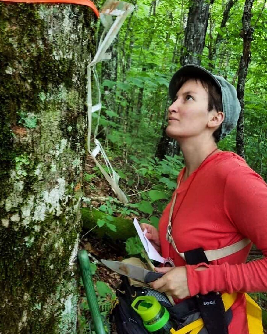 Attention lichen enthusiasts‼️

This Friday 8/25, Dr. Klara Scharnagl is giving a talk for the UC Berkeley Botany Lunch: &ldquo;Where the sidewalk ends - the study of urban lichens&quot;

Klara is the Tucker Curator of Lichenology at the University a