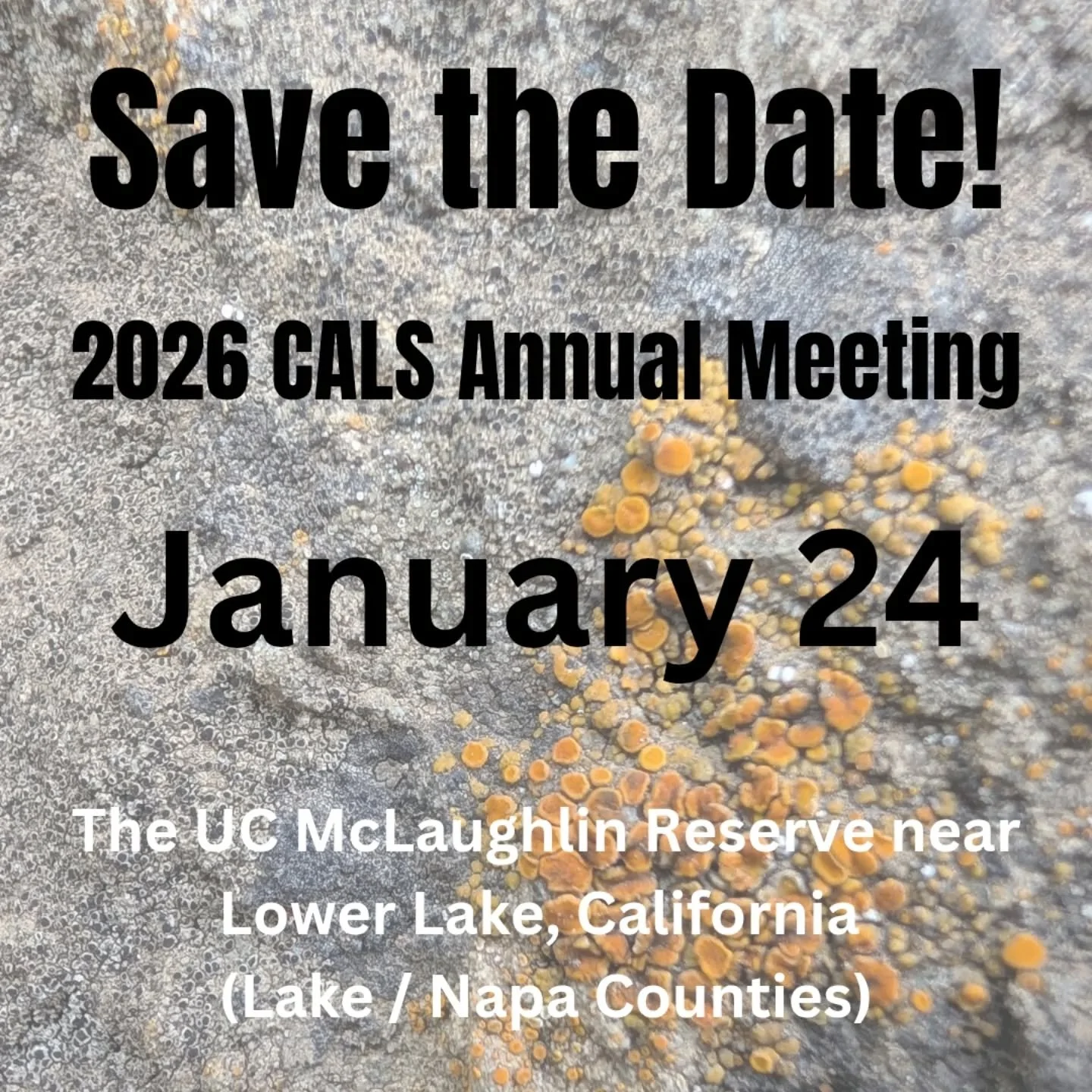 We are thrilled to announce that the California Lichen Society will be hosting our annual meeting in January. Please make plans to join us for a symbiotically good time of lichenizing, learning, and socializing with other lichen enthusiasts! Everybod