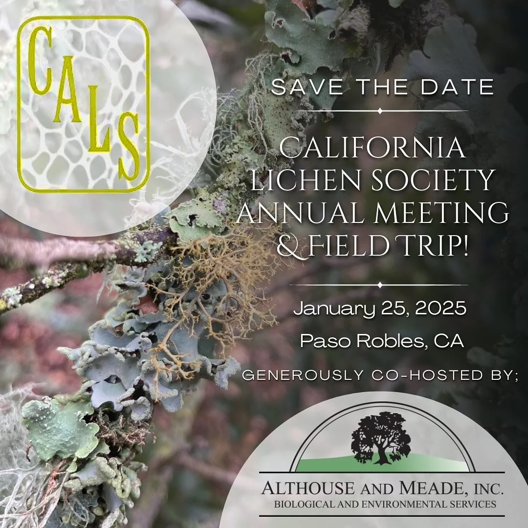 Save the date!! Mark your calendars! Go buy a hand lens if you don&rsquo;t already have one. The California Lichen Society Annual Meeting is just around the corner and this year it&rsquo;s in Paso Robles! Get ready Central California! We&rsquo;re so 