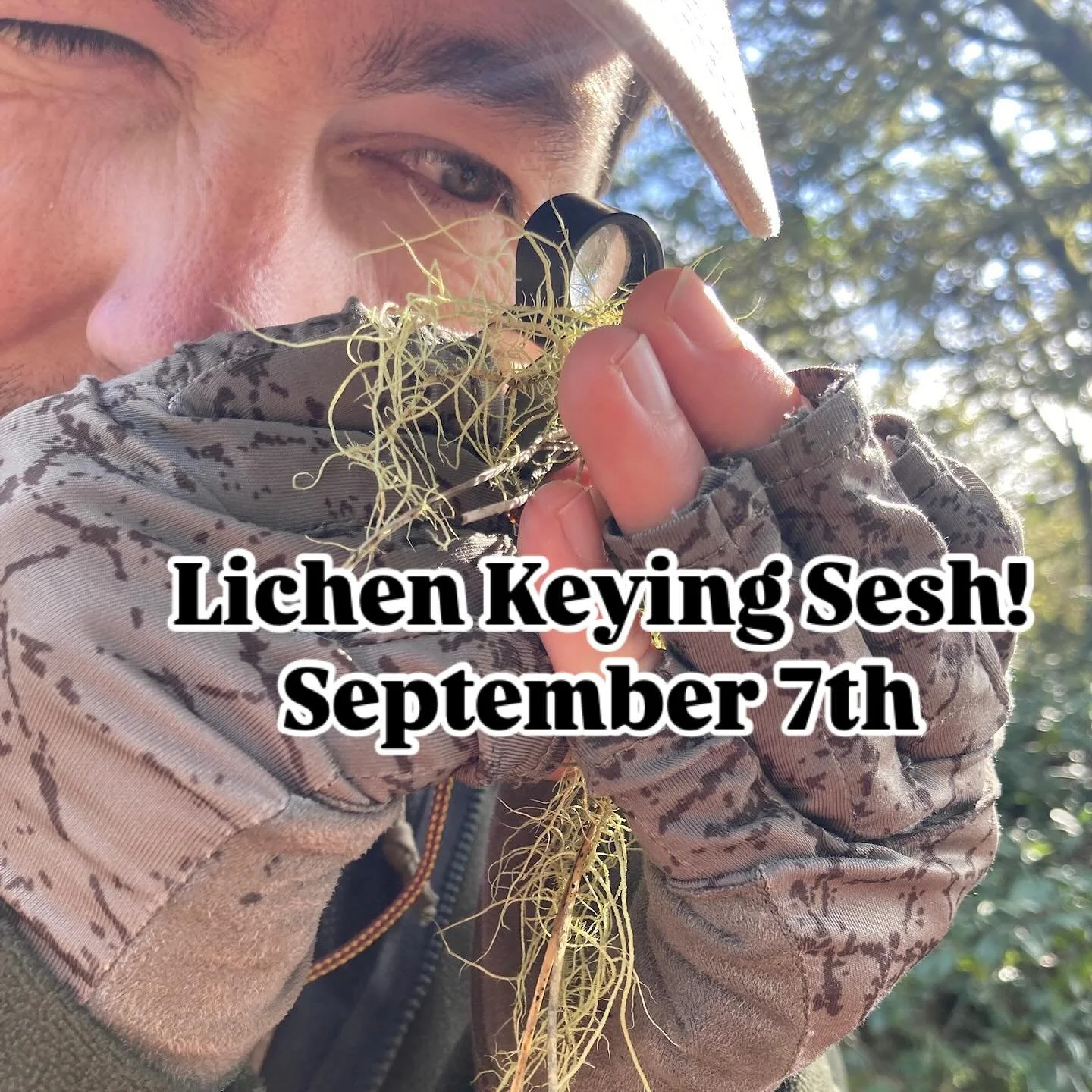 California Lichen Society aka CALS will be sponsoring another informal lichen keying session at UC Berkeley, to be held in room 3030 of the Valley Life Sciences Building on Saturday, September 7th from 10:00am-2:00pm,  again kindly hosted by @klarasc