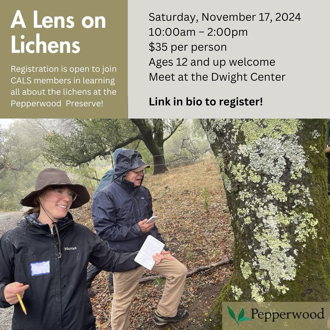 CORRECTION: The event is on Sunday, 11/17. 

Calling all lichen enthusiasts! Registration is open to join CALS President, Jesse Miller, for a fun exploration of the lichens at the Pepperwood Preserve. ☀️
If you&rsquo;ve ever though to yourself:
💭Wha