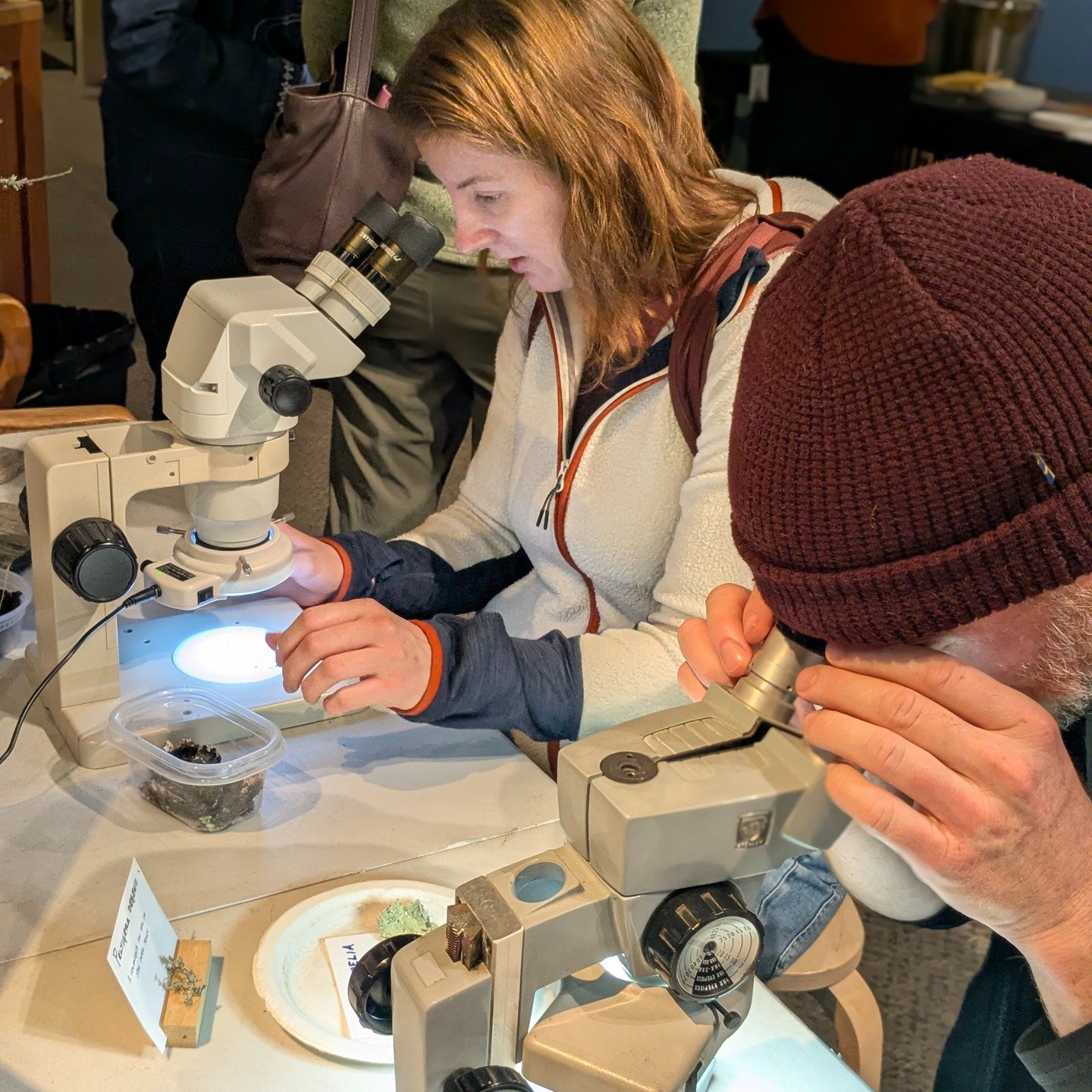 CALS member Ken Kellman giving an introductory lichen talk to a very engaged audience of 60 at the Santa Cruz Museum of Natural History. After the talk (and a very lively Q&amp;A period), attendees took to the microscopes to take a closer look at som
