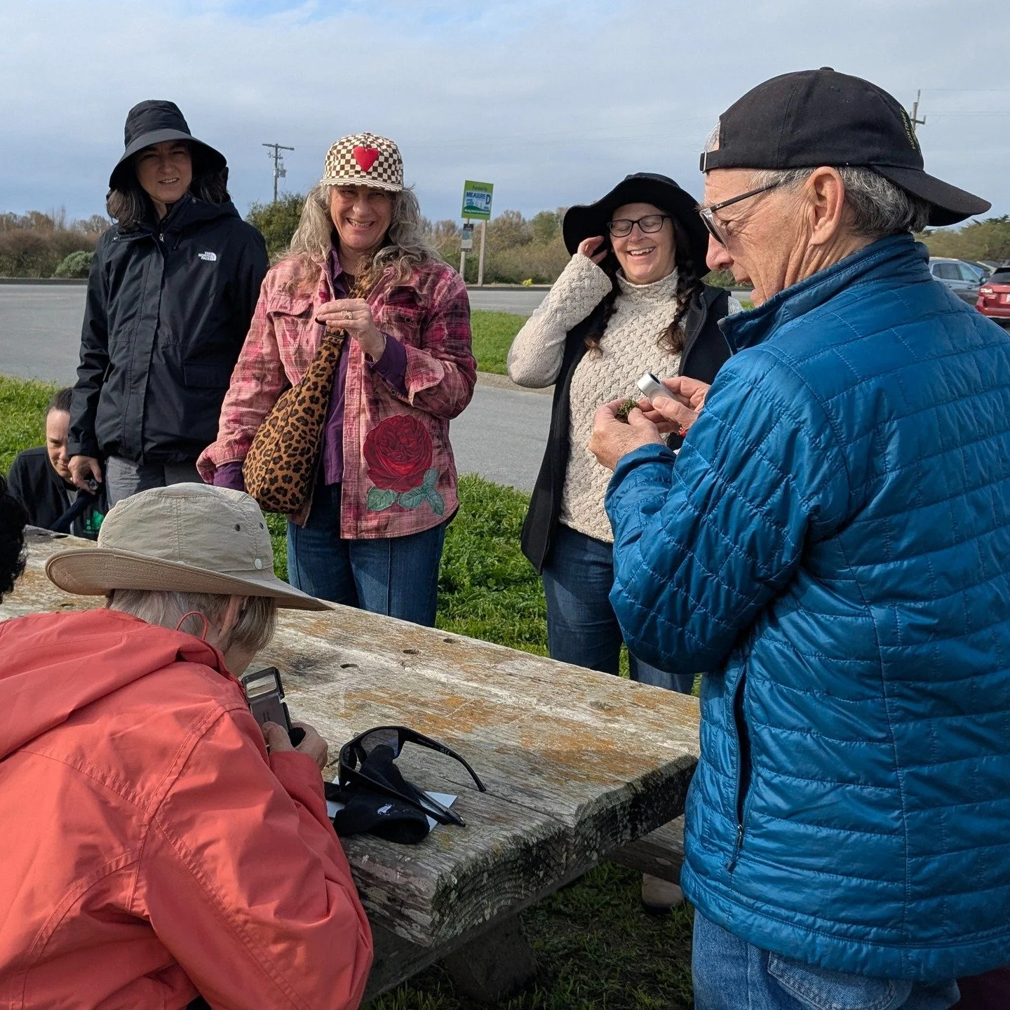 CALS members Ken Kellman and Lise Peterson led a Valentine's Day lichen walk at Wilder Ranch State Park. Lichen-curious attendees learned about form, color, and reproductive strategies -- but more importantly, they learned where to look for lichens: 
