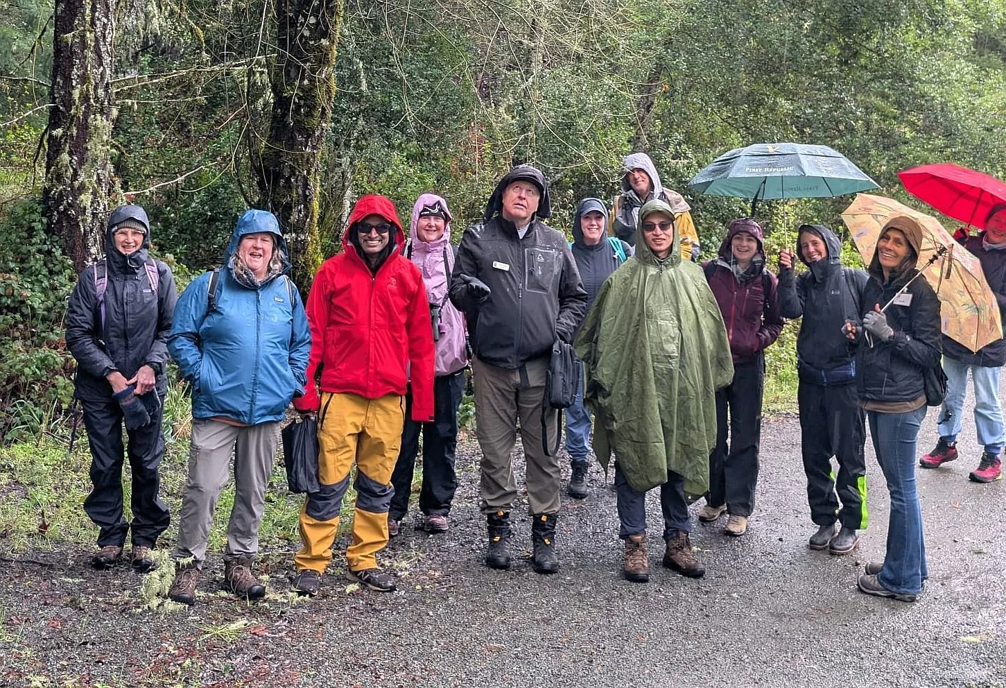 CALS Board member Kate Bauer led a Lichen Enrichment field trip today at Long Ridge Open Space Preserve for Midpen Docent Naturalists and 2 Midpen staff members. "We encountered wind, mud, rain, hail, snow, and the temperature never got out of t