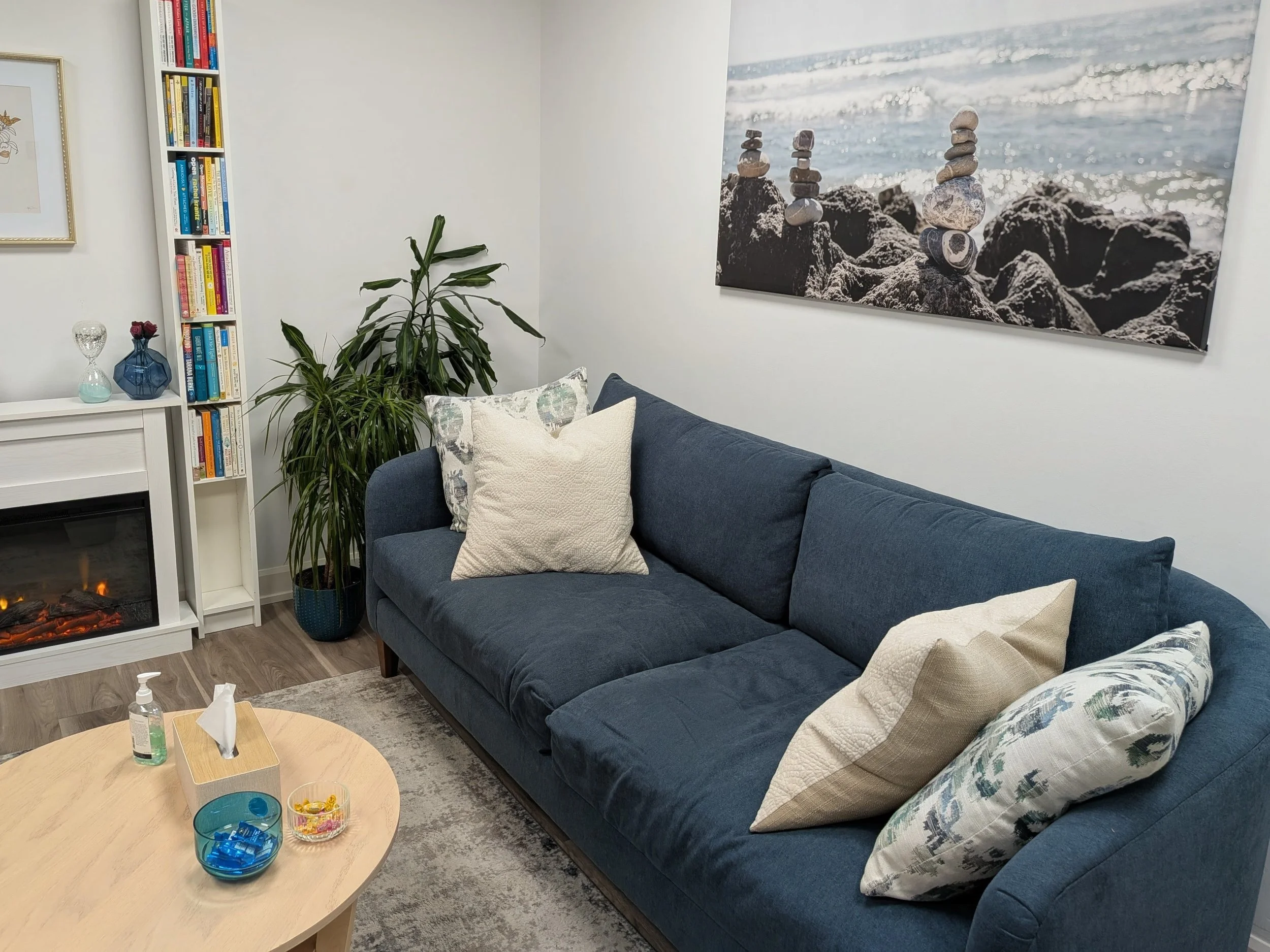 Living room with a blue sofa, decorative pillows, a tall bookcase filled with books, an electric fireplace, a large beach-themed photograph on the wall, a potted plant, a small wooden coffee table with candies, a tissue box, hand sanitizer, and some 