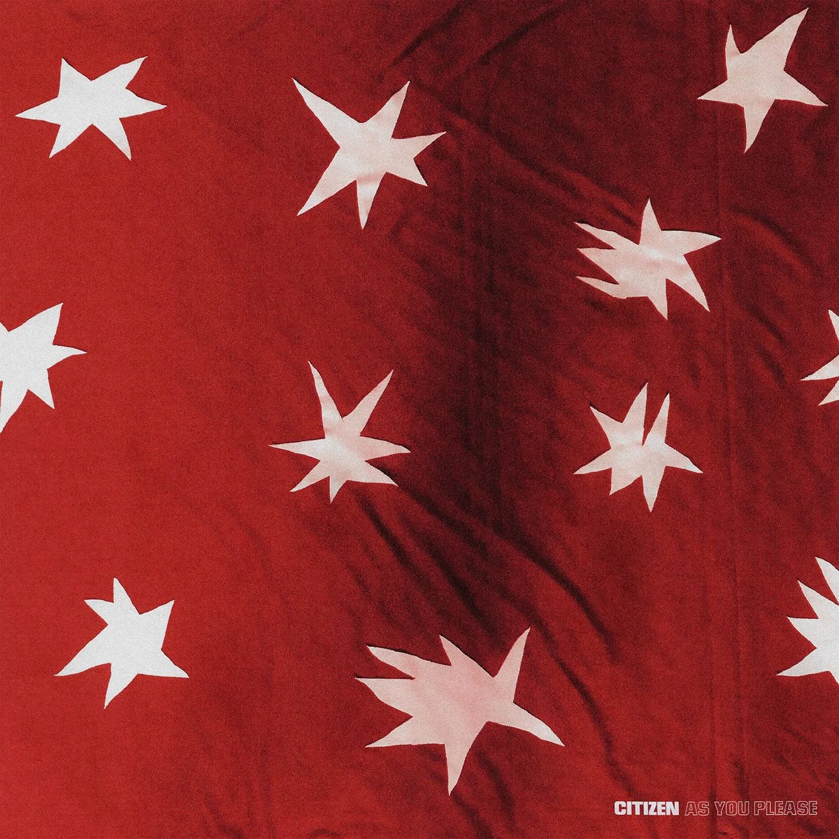 Citizen - As You Please.jpg