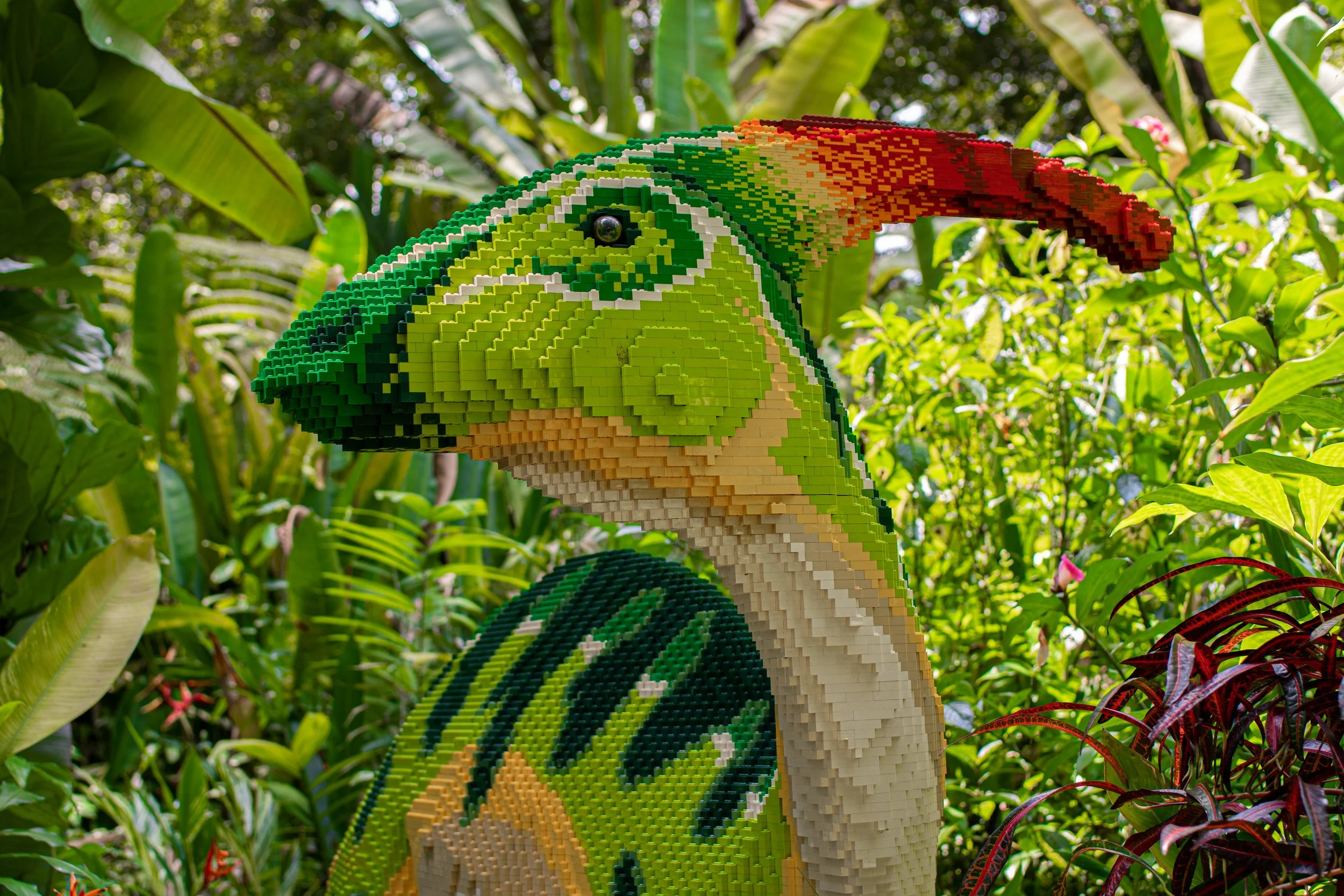 Velociraptor_Edited2 (1 of 1).jpg