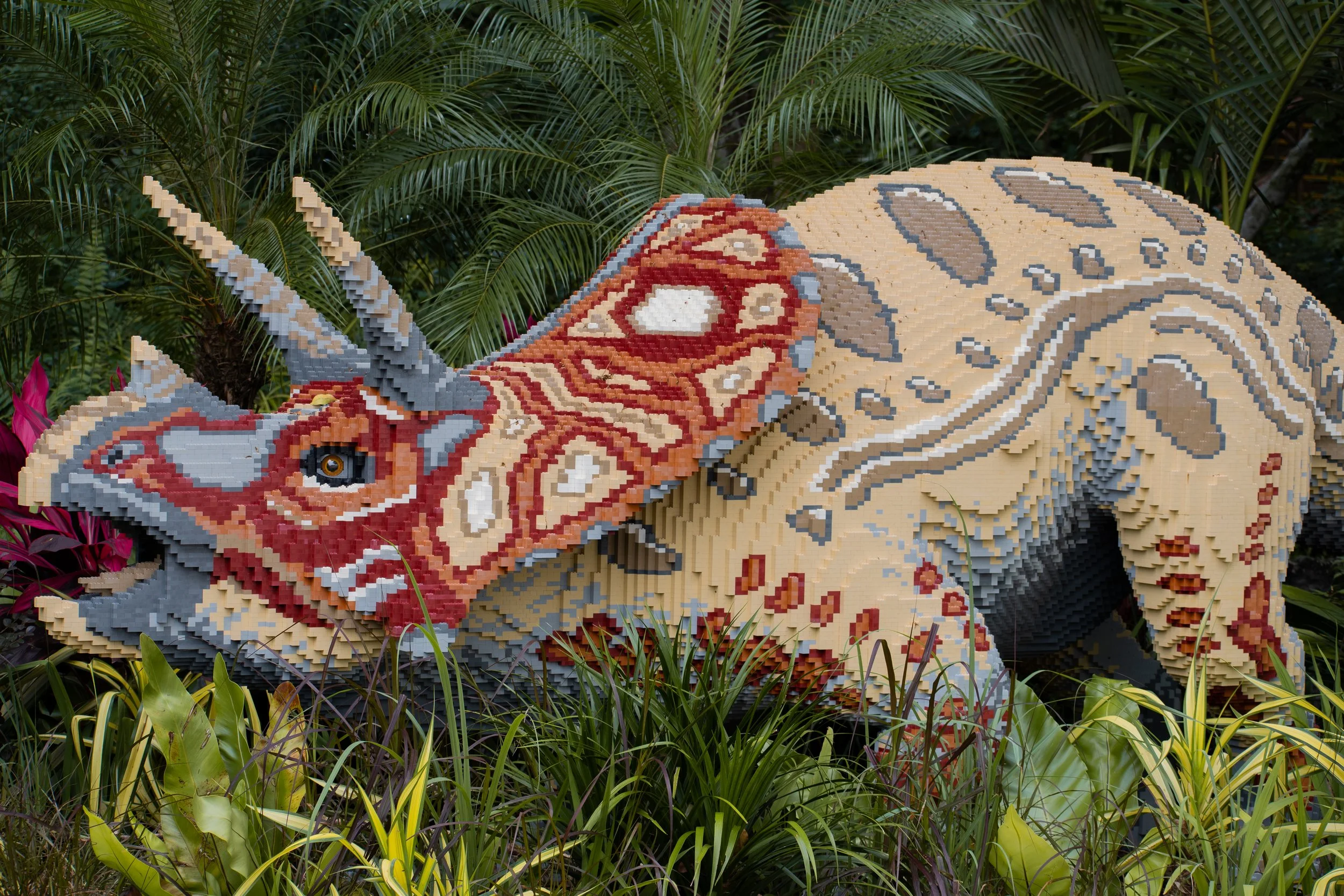 Triceratops_Edited2 (1 of 1).jpg