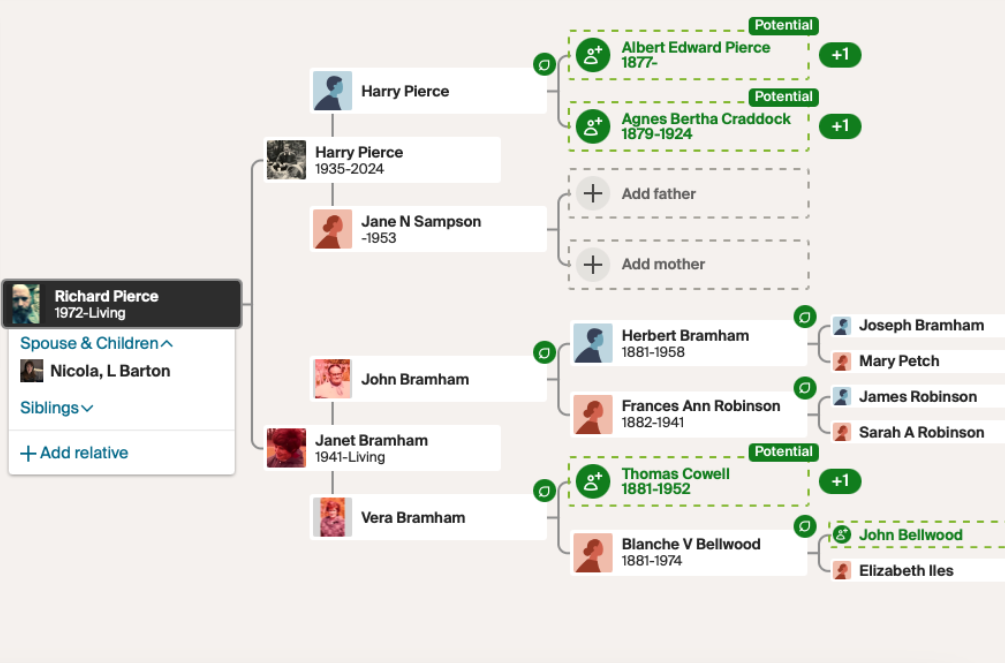 Unravelling My Family Scripts: A Personal Journey Through Psychodynamics and Genealogy