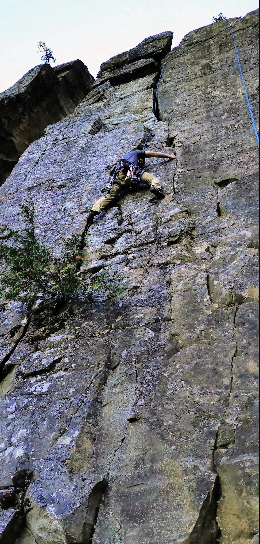 A person practicing rock climbing on a vertical rock face outdoors, secured with climbing gear and a rope, with some trees visible at the top and near the bottom of the rock.