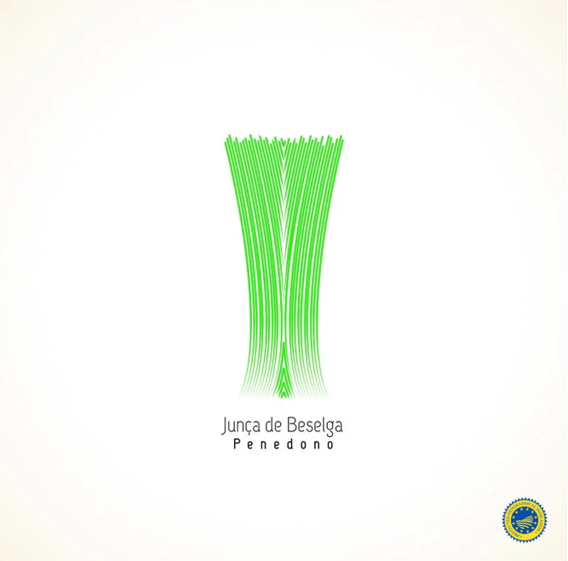 Junça de Beselga