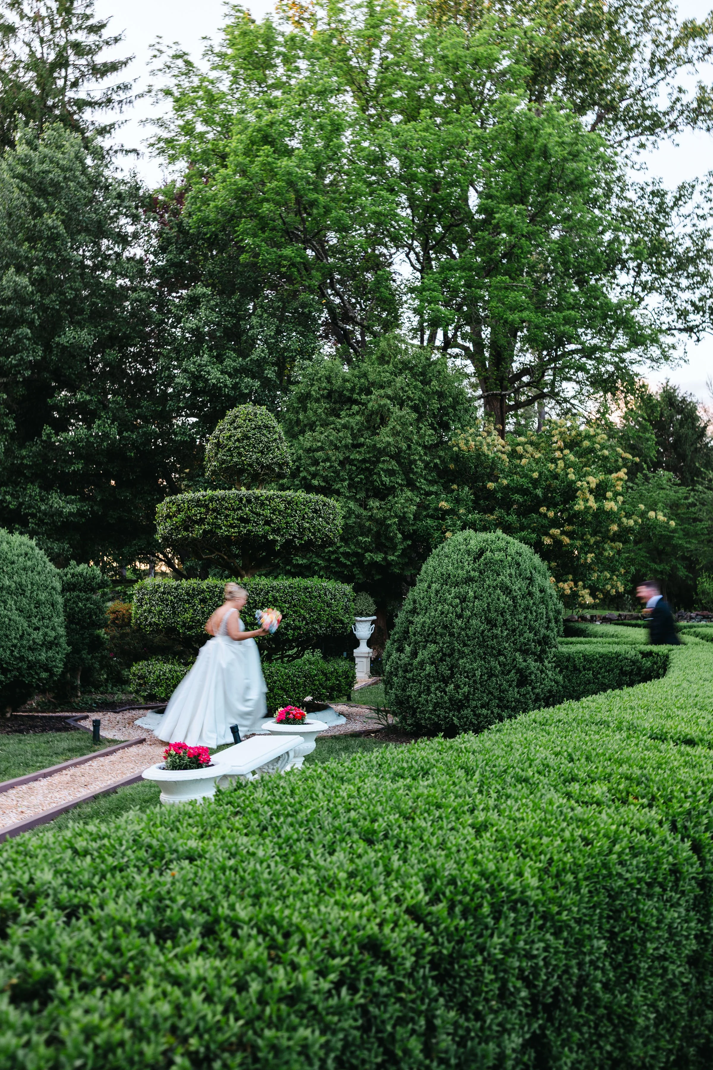 A Burst of Color and a Garden Chase