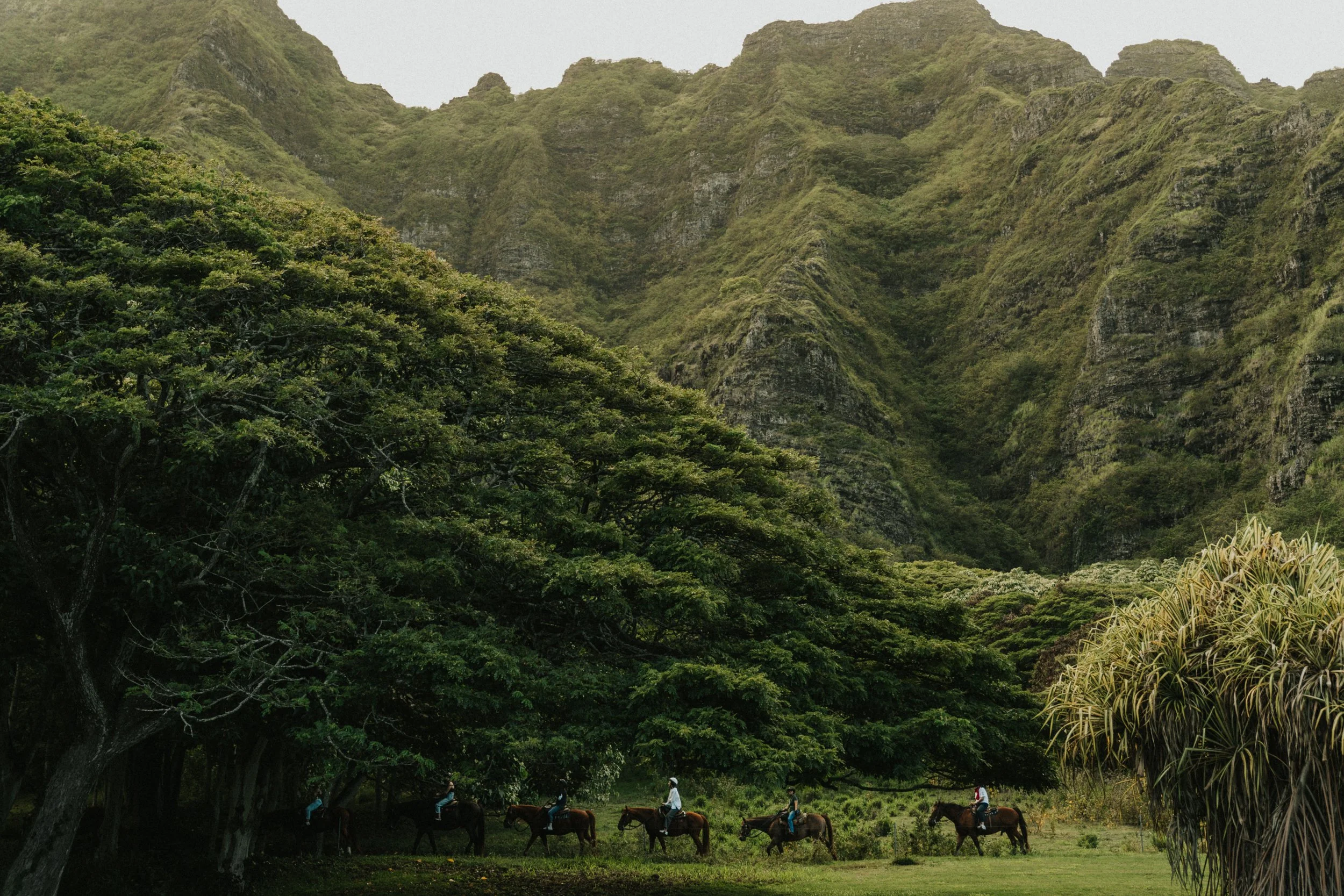 HARROD HOUSE WEDDING VENUE HORSEBACK KOOLAU MOUNTAINS HAWAII