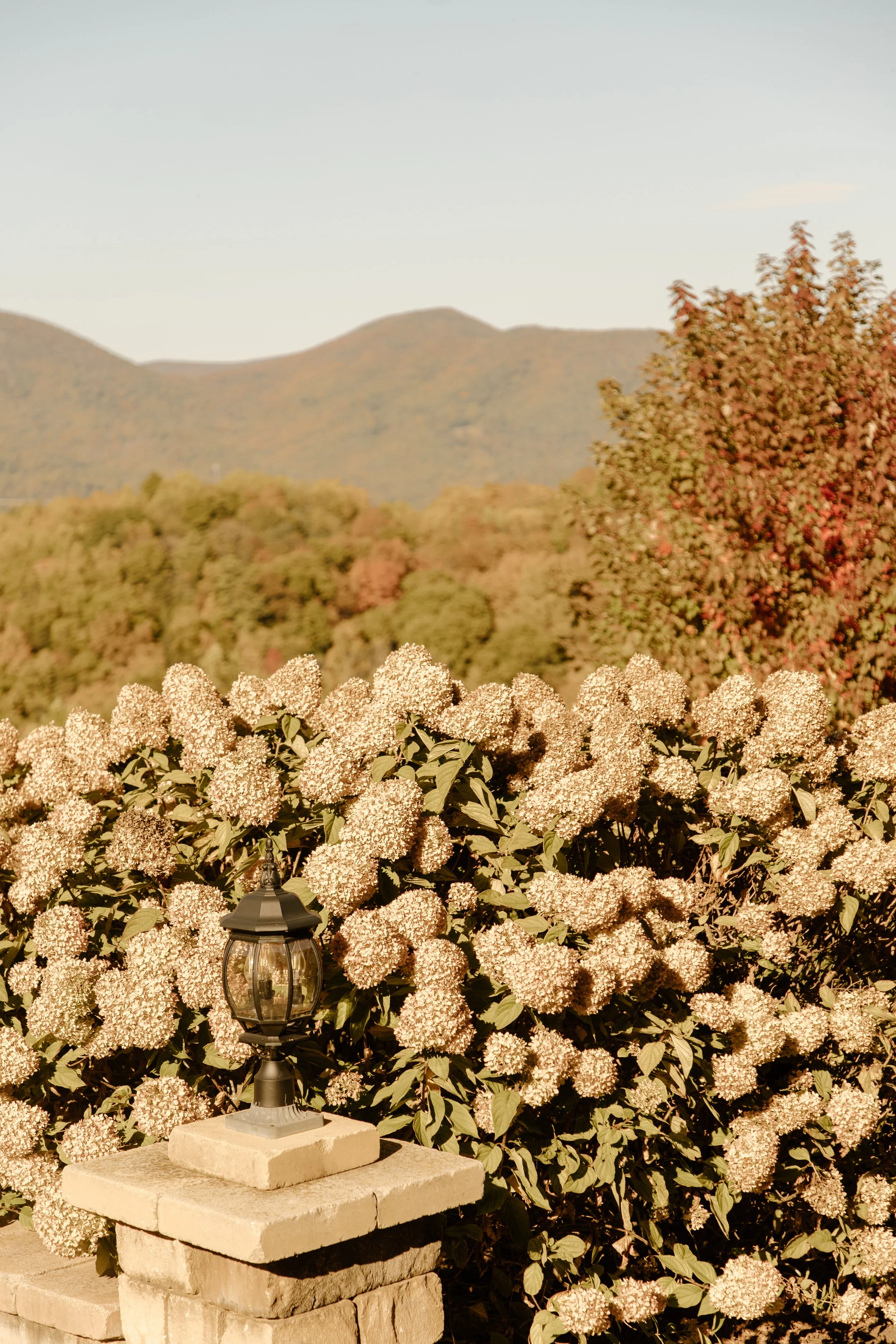 hydrangea house mountain inn irvine estate fall