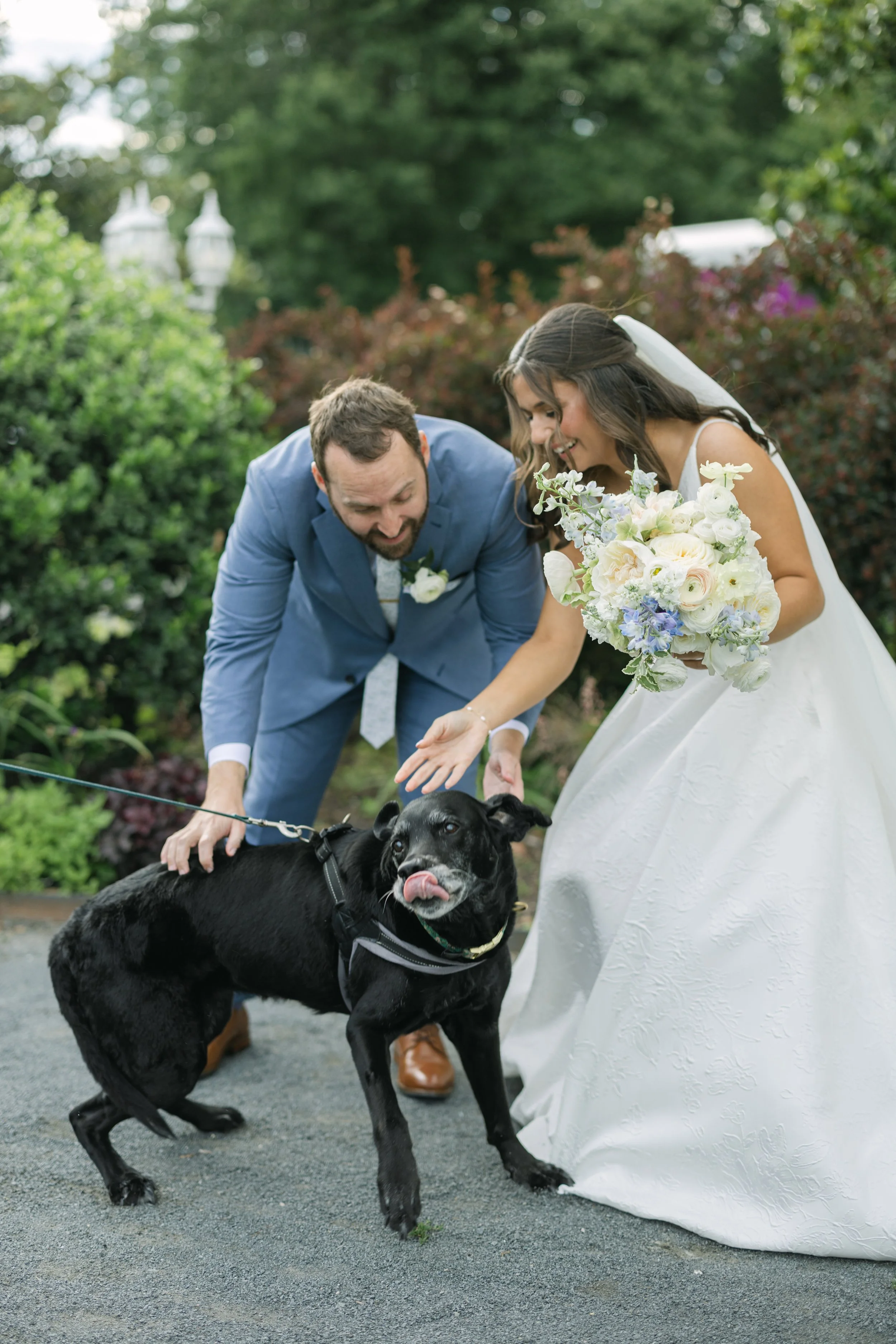 BRIDE GROOM BLUE WHITE BOUQUET PET DOG