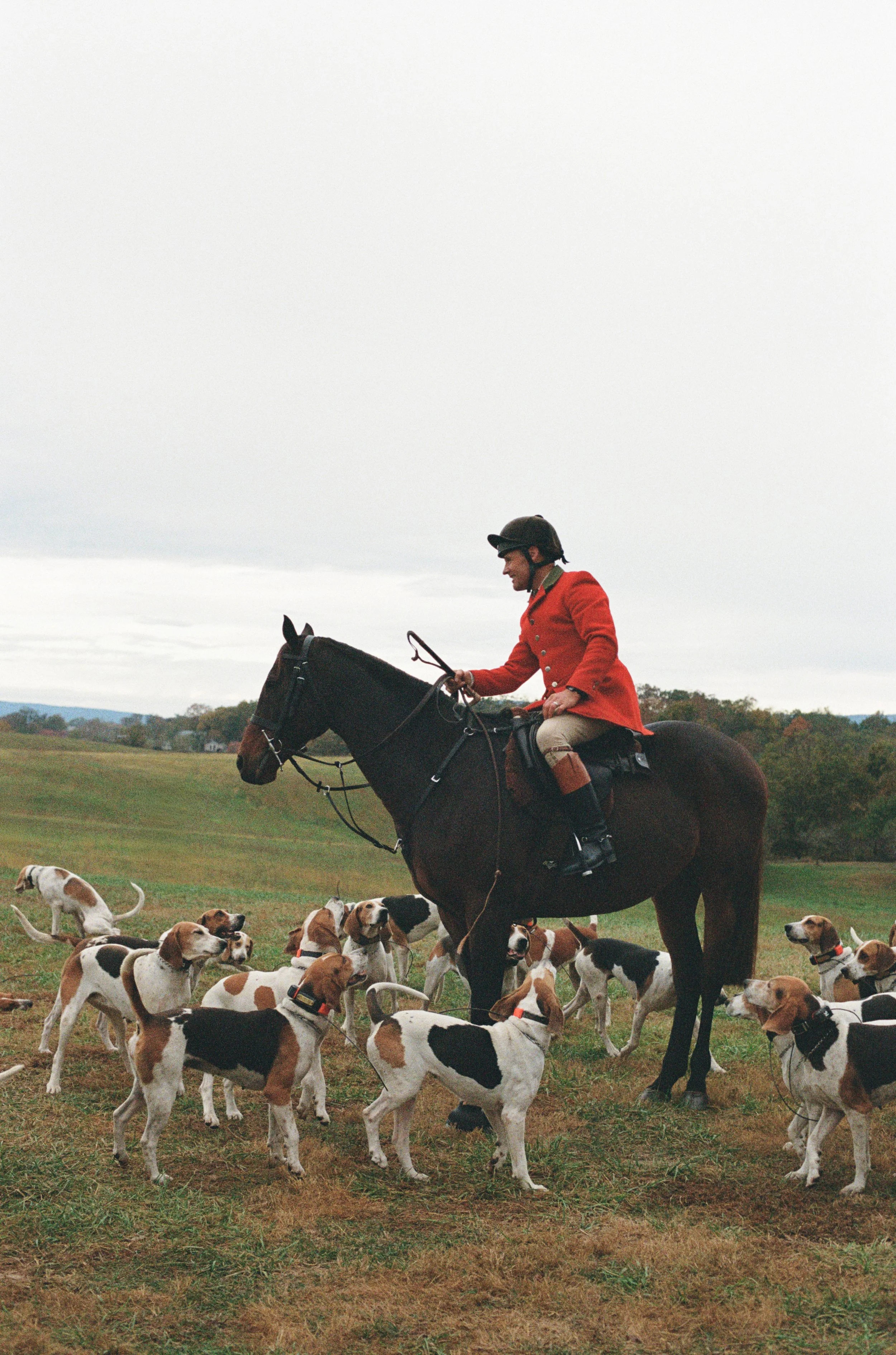 autumn wedding horse dog goodstone inn and restaurant hunt country virginia
