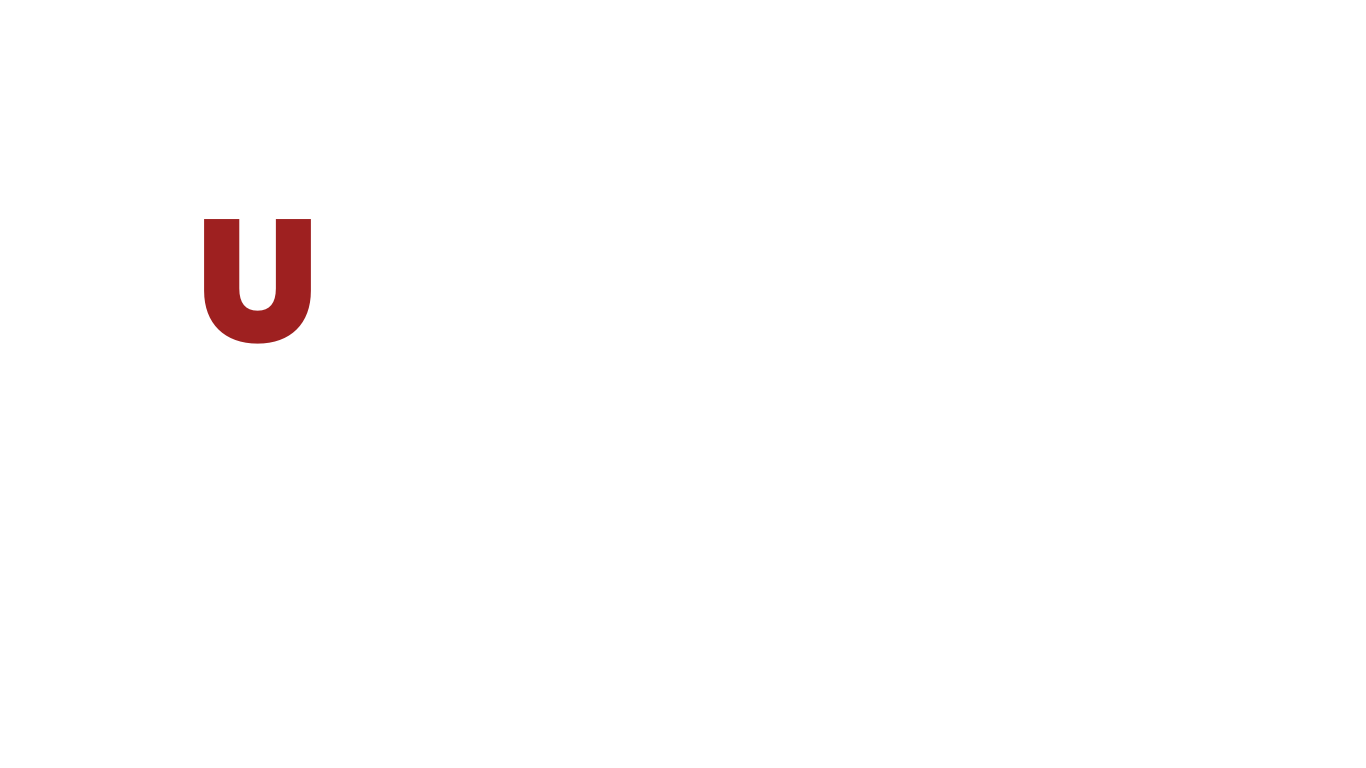 Lucchese Media