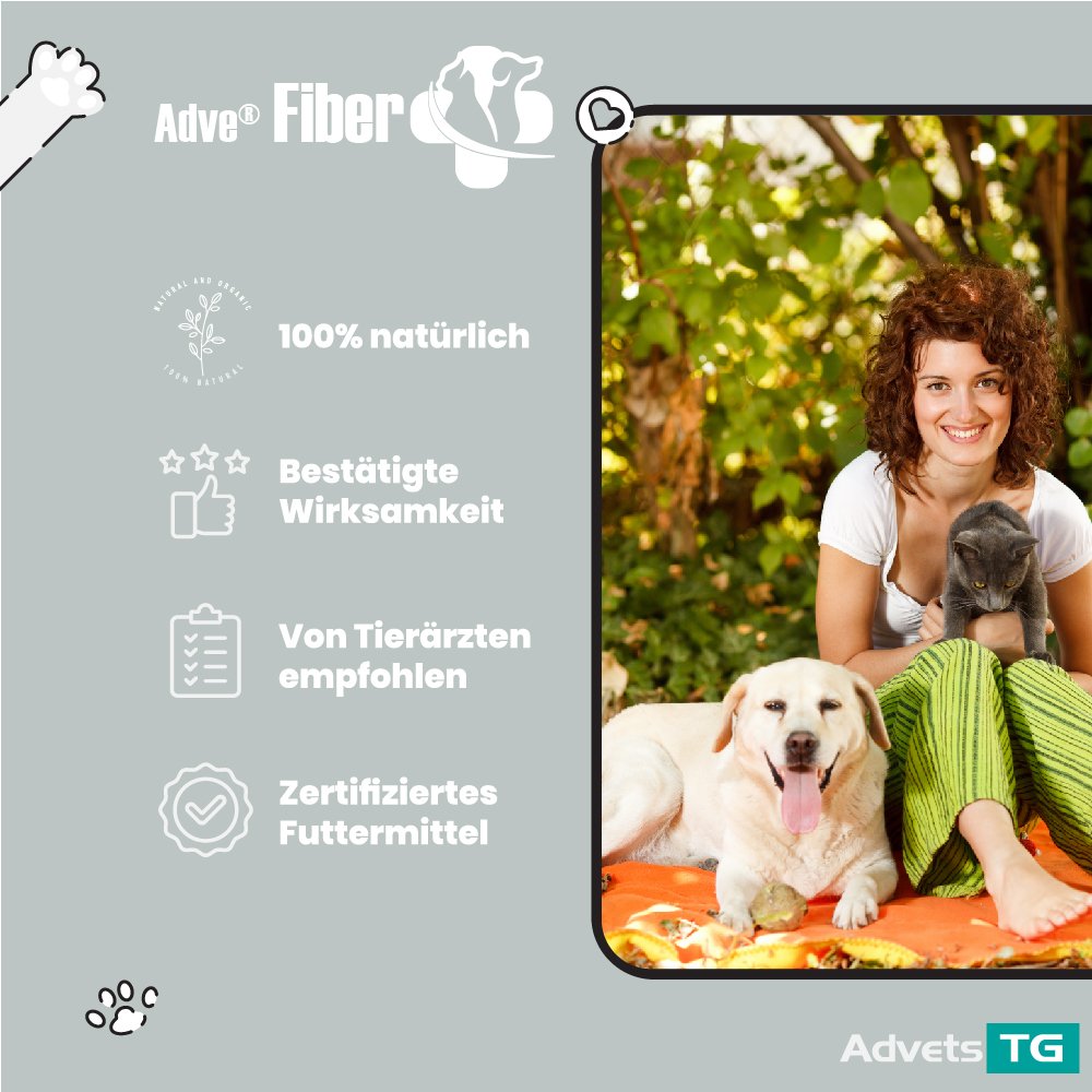 Fiber template 2 -01.jpg