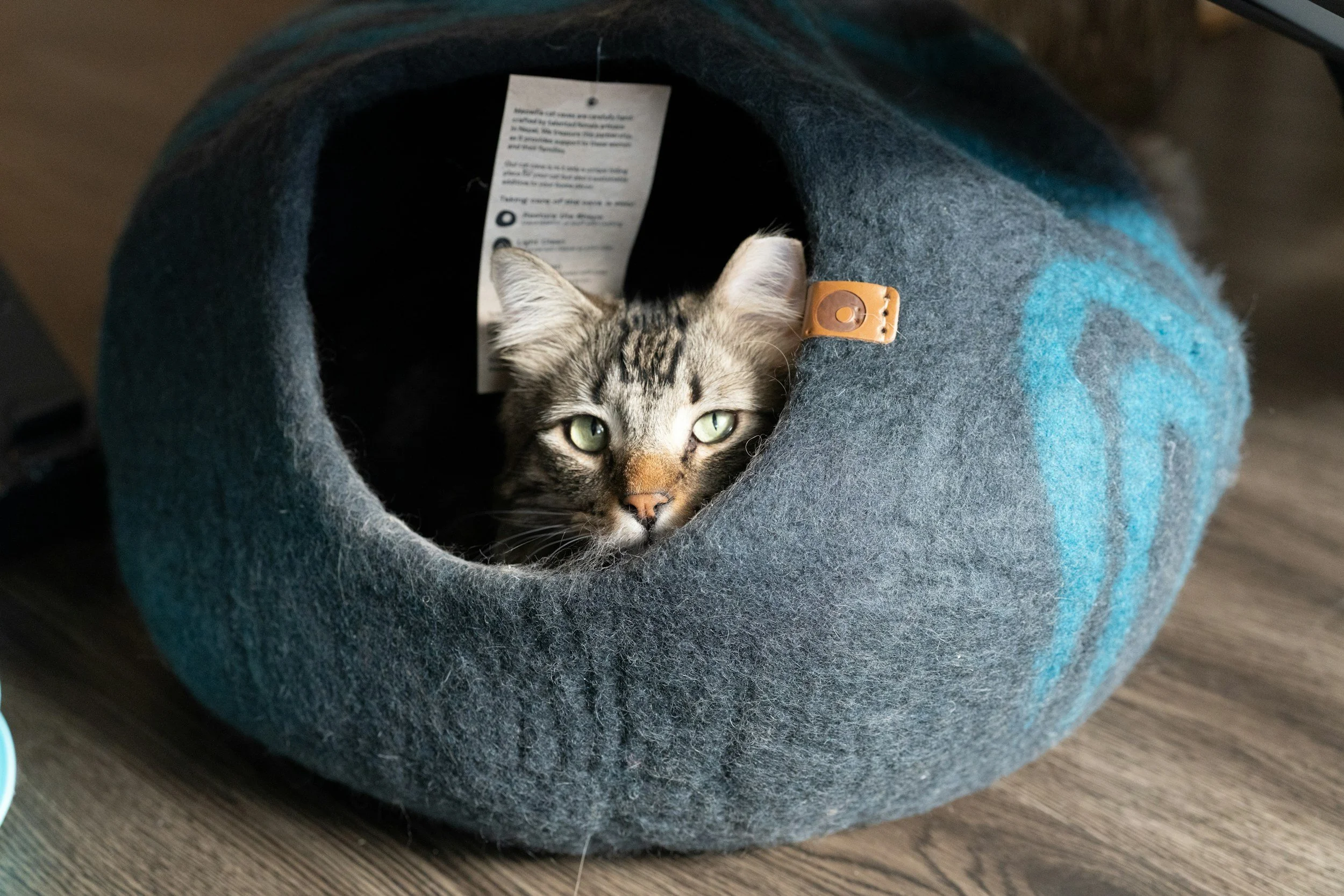 Gray and black tabby cat with green eyes lying inside a cozy, round gray felt pet bed with a blue design, on a wooden floor.