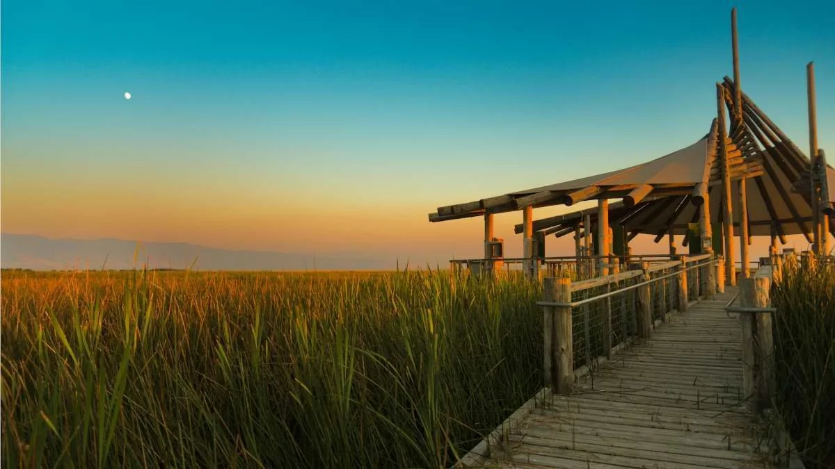 Shoreline bird refuge boardwalk and wetland preserve in Layton Utah, overlooking nearby residential and commercial areas served by asphalt paving, repair, and maintenance services