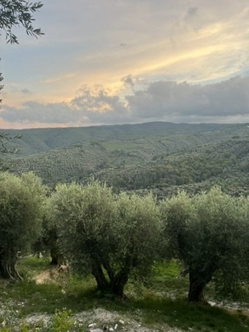84B4E50D-B9A6-4D61-91B5-C3054249F776_4_5005_c.jpeg