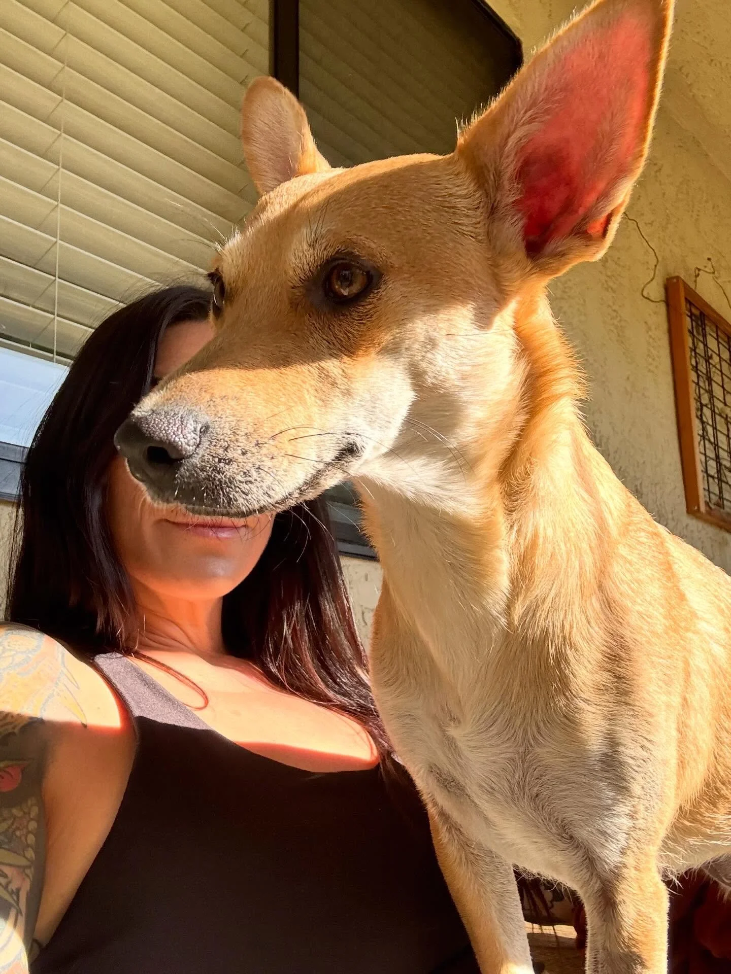 March was spent in a cocoon&mdash; 31 days of rest and rumination. Not the most lucrative activities but sometimes that&rsquo;s required (or simply the result of the burnout that belongs to the artistically self-employed). 🐛 
&bull;
Thankful for dog