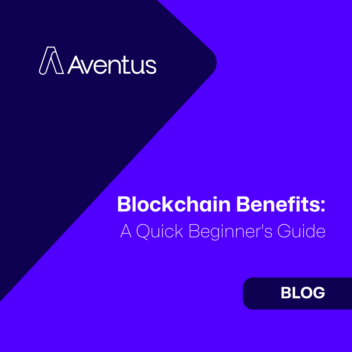 Aventus Blockchain Benefits
