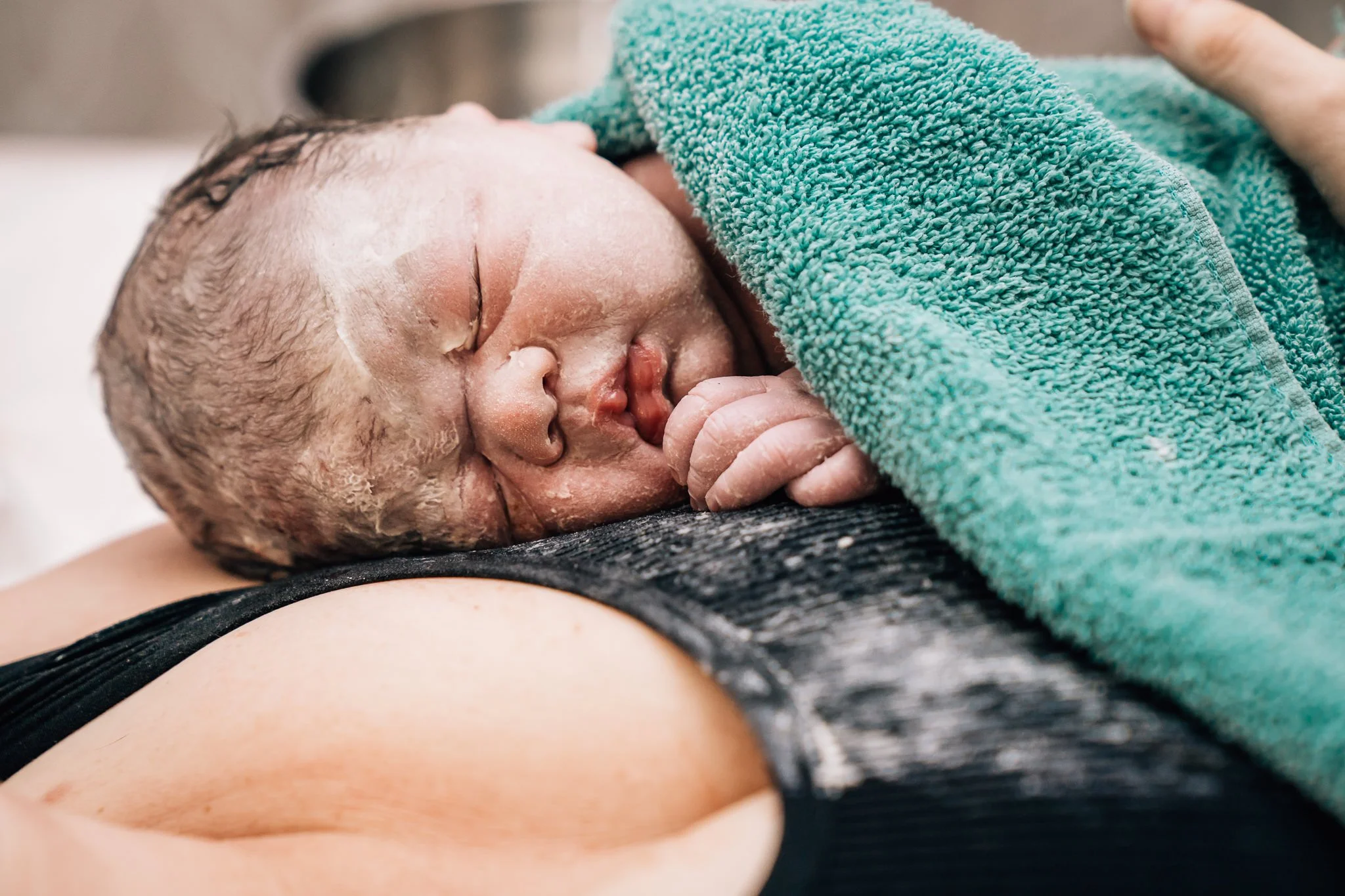 A chubby, vernix covered newborn baby rests skin to skin on their mom's chest covered in a teal towel moments after being born at home. 